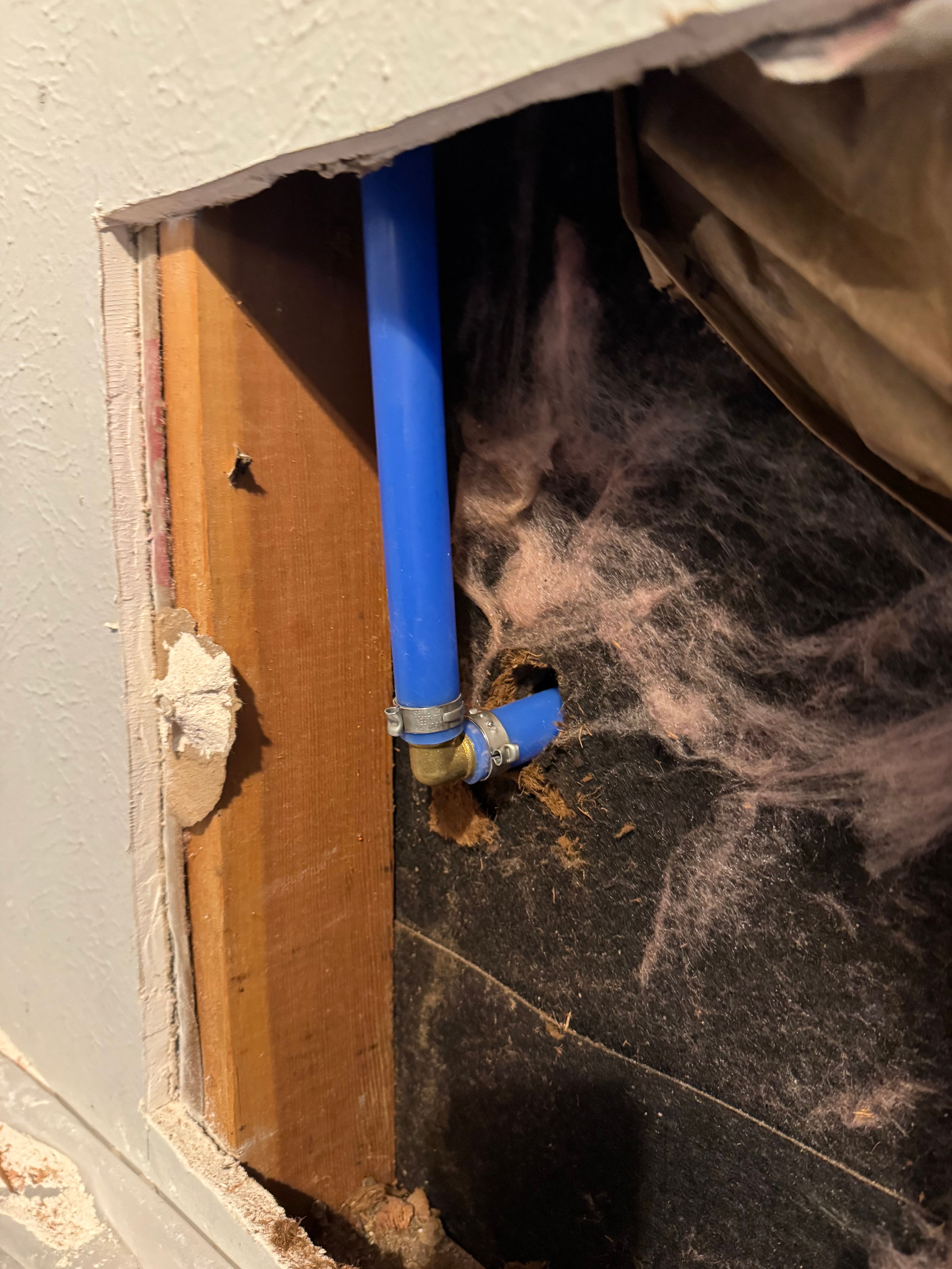  for HDZ Integrity Plumbing LLC in Forney, TX