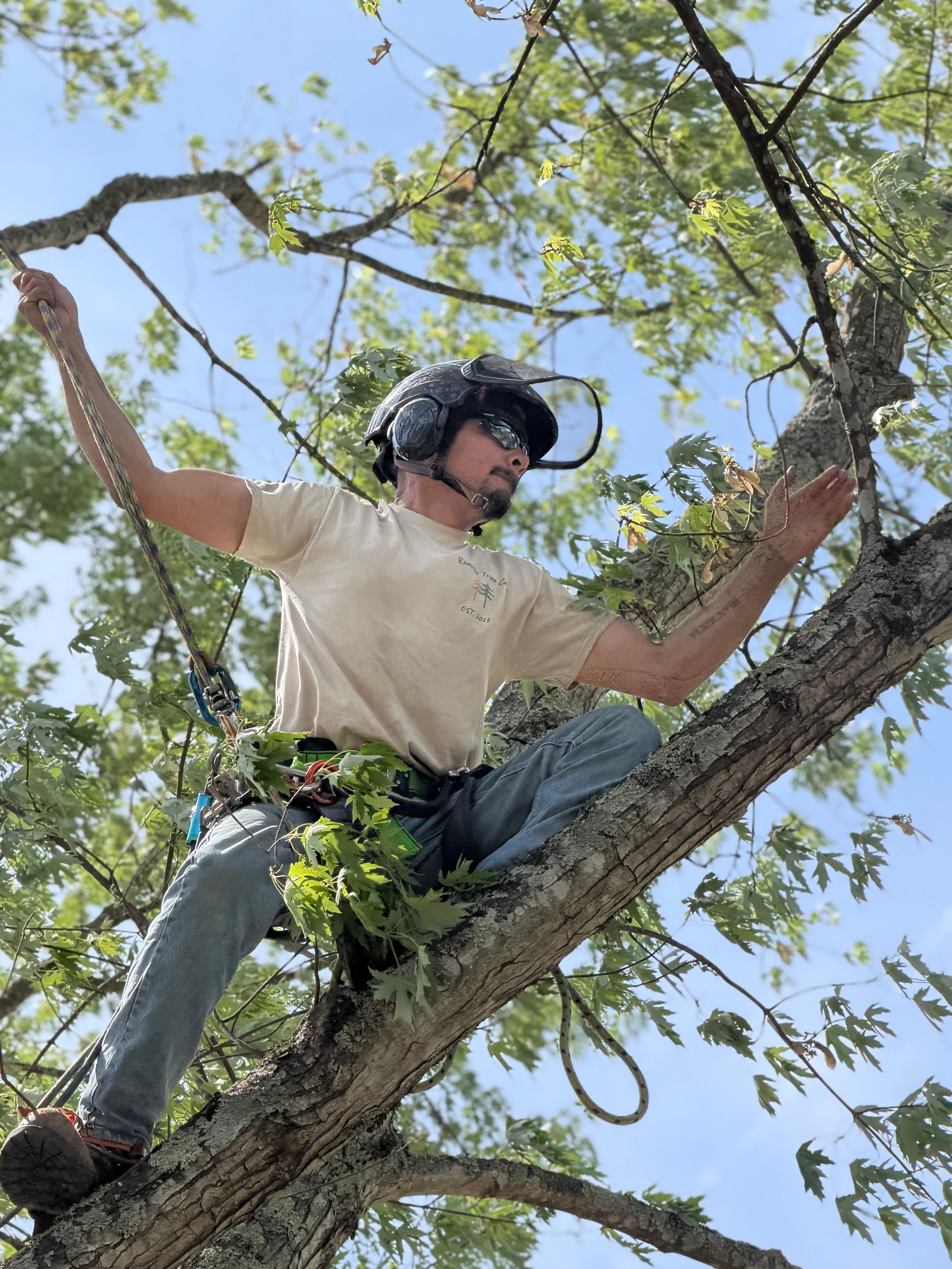  for Ramirez Tree Care in Elkin, NC