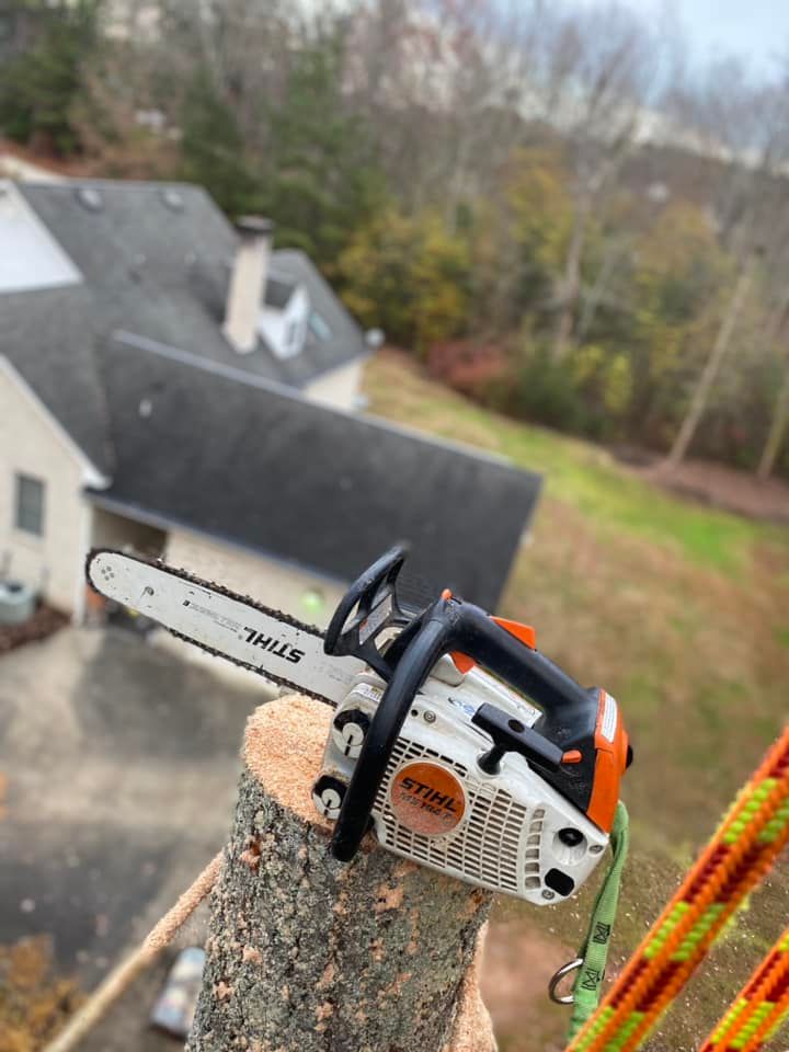  for Ascending Tree Service LLC in Kenbridge, VA