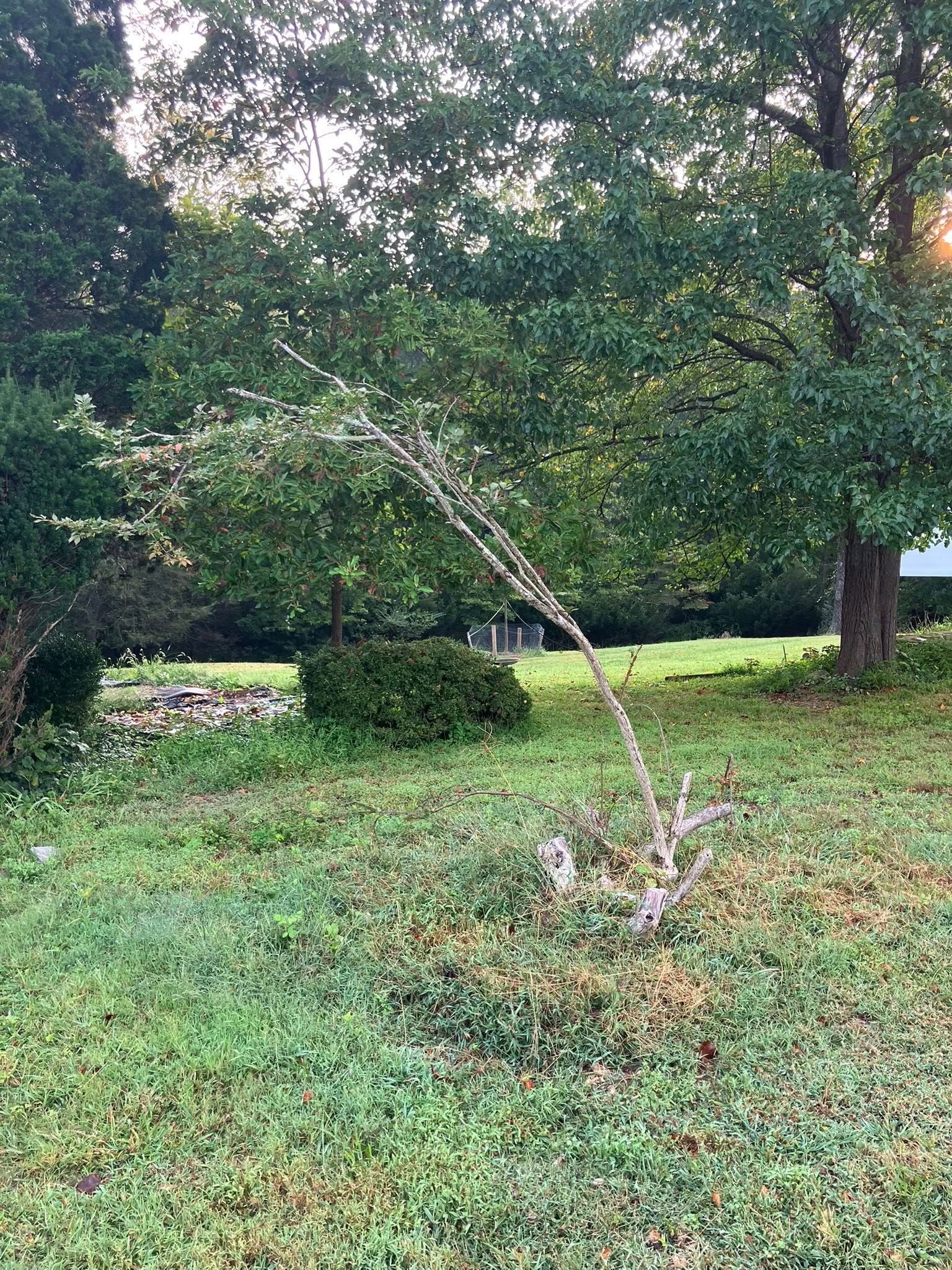  for 9999 Building and Renovation LLC in Warrenton, VA