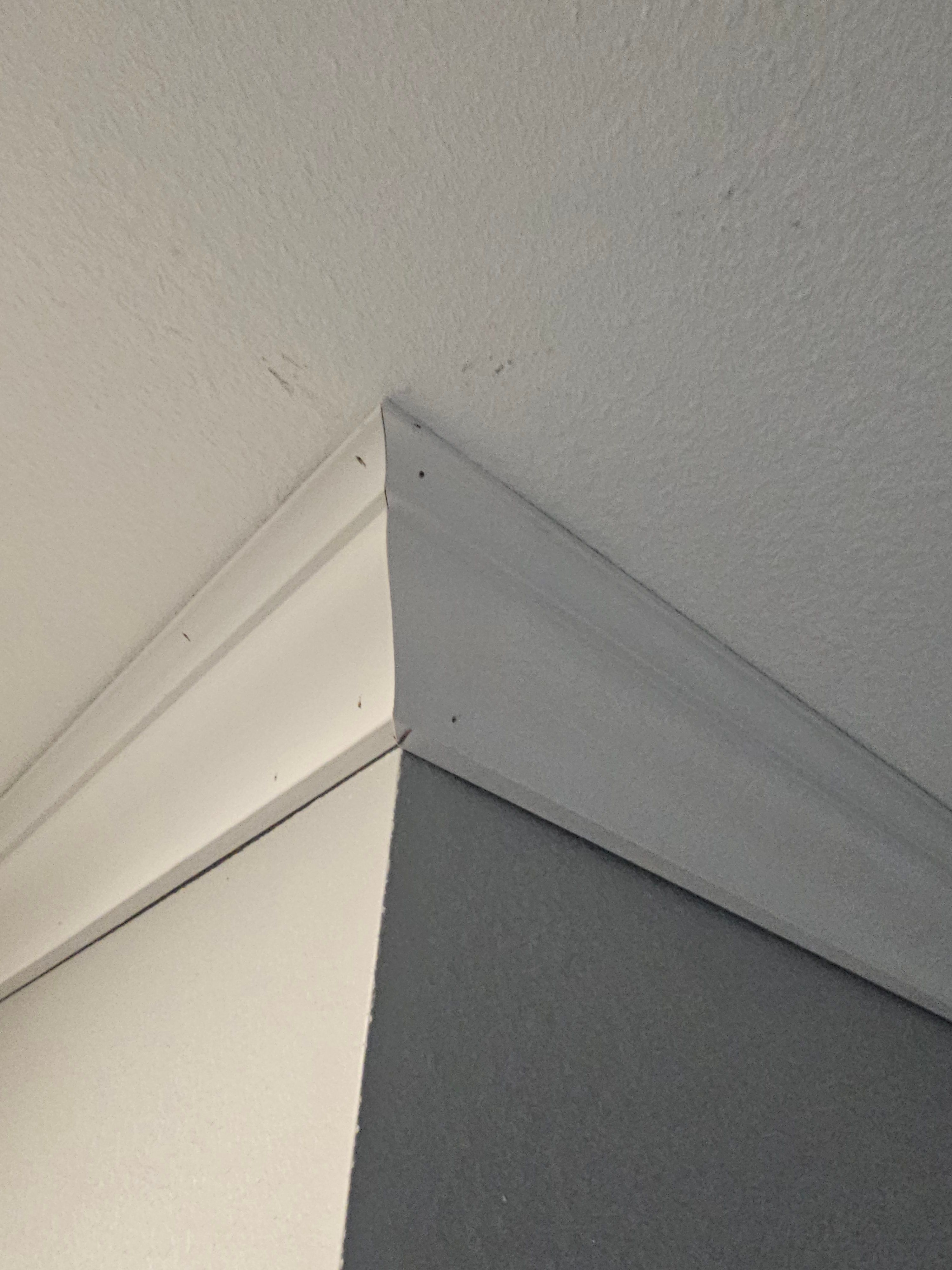  for Cotanny Construction LLC in Llano, TX