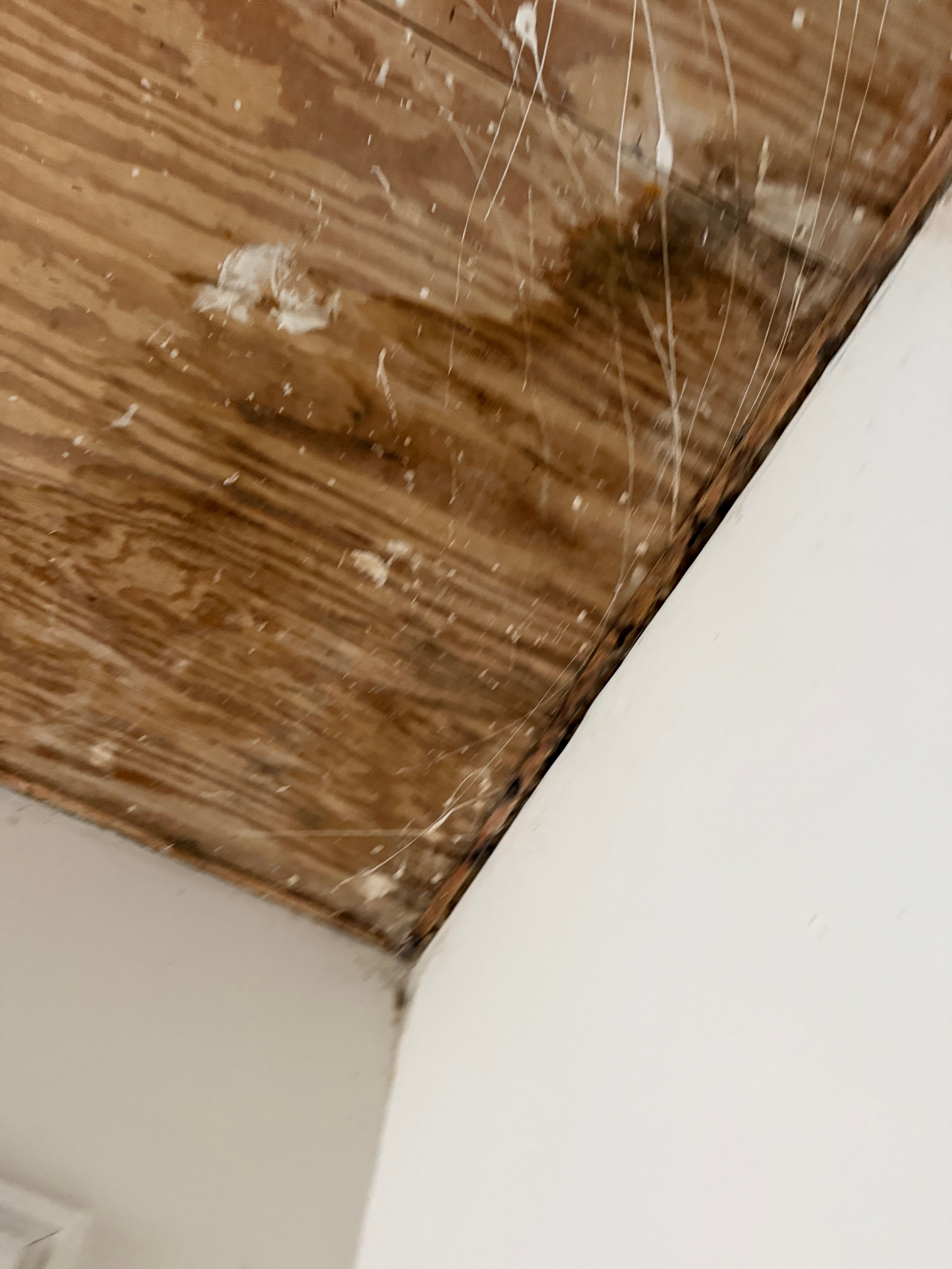  for Titan Remediation Industries in West Palm Beach, FL