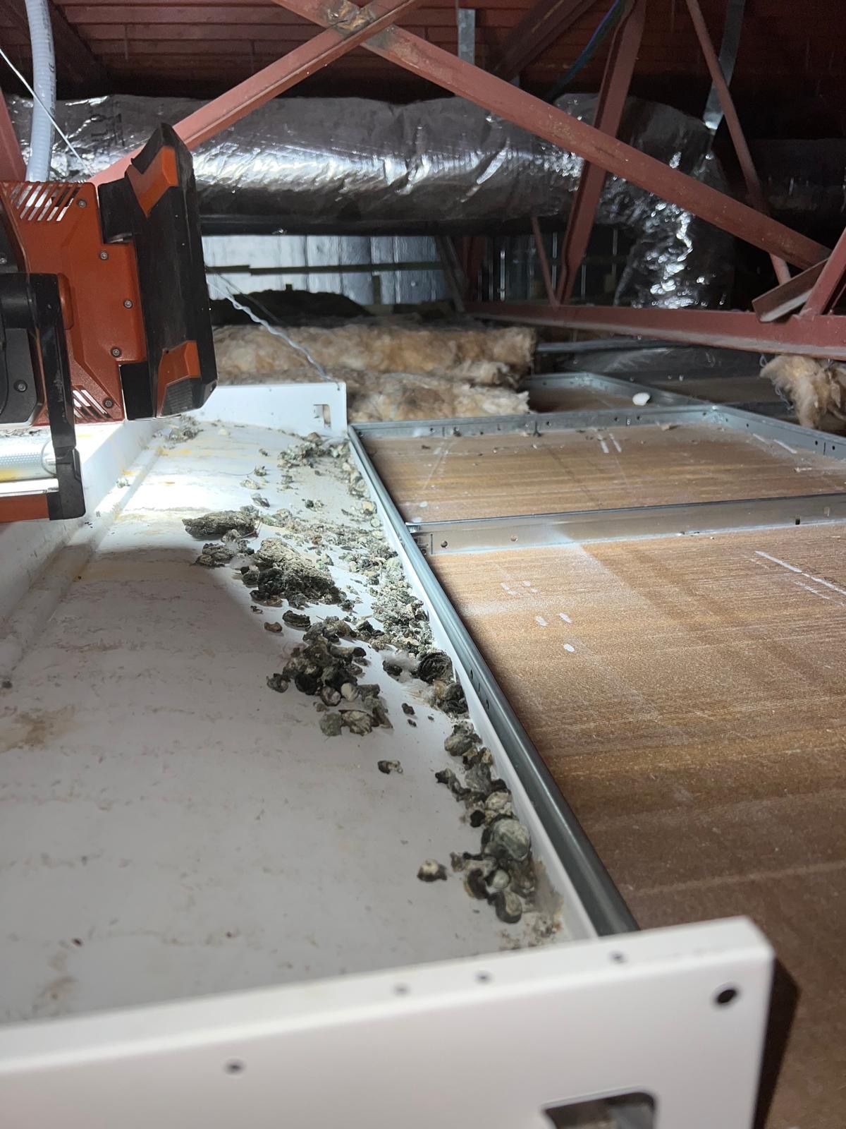  for N&D Restoration Services When Disaster Strikes, We Come In in Cape Coral,  FL