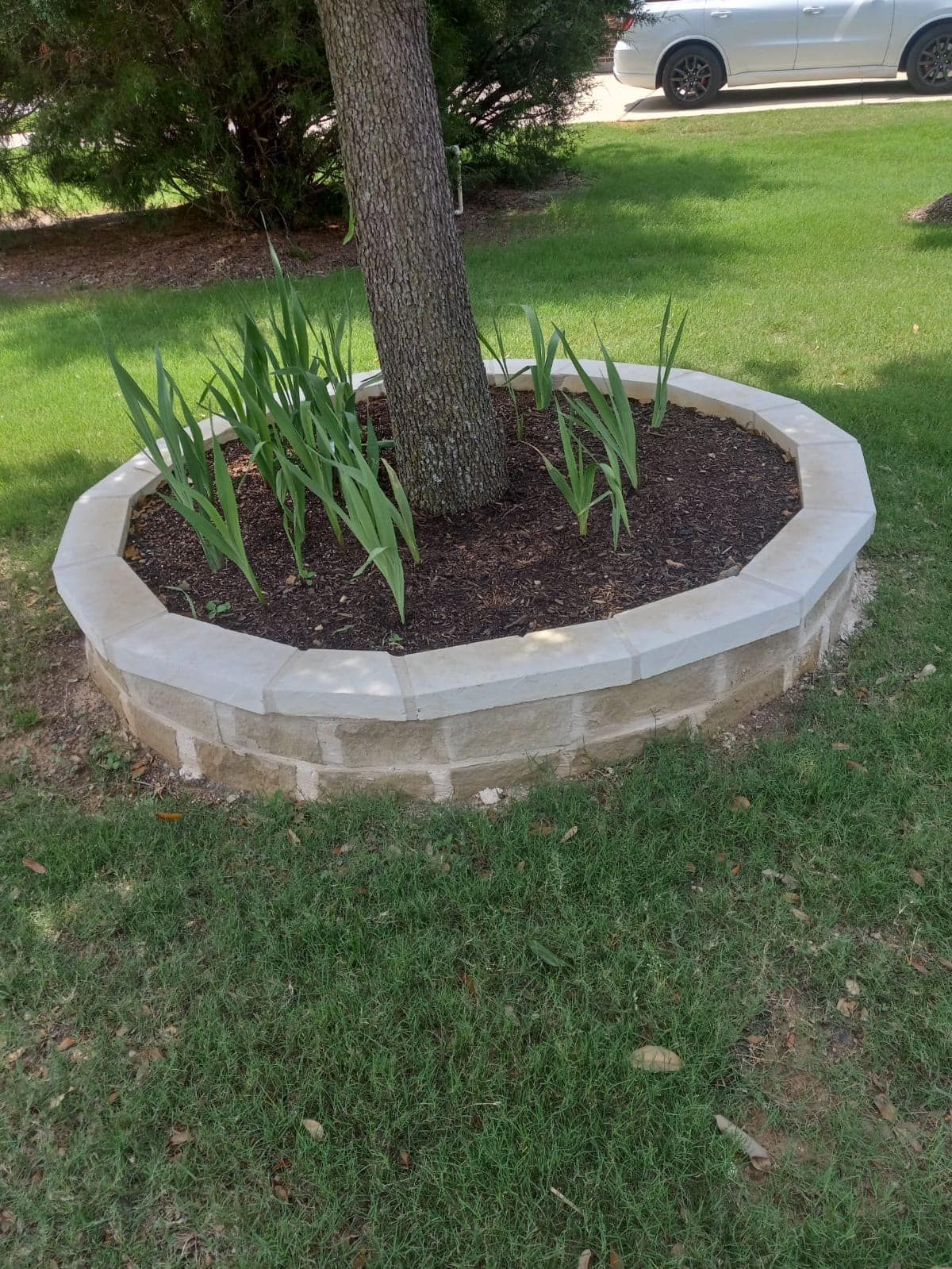  for MJ’s Painting & Remodeling in Irving, TX