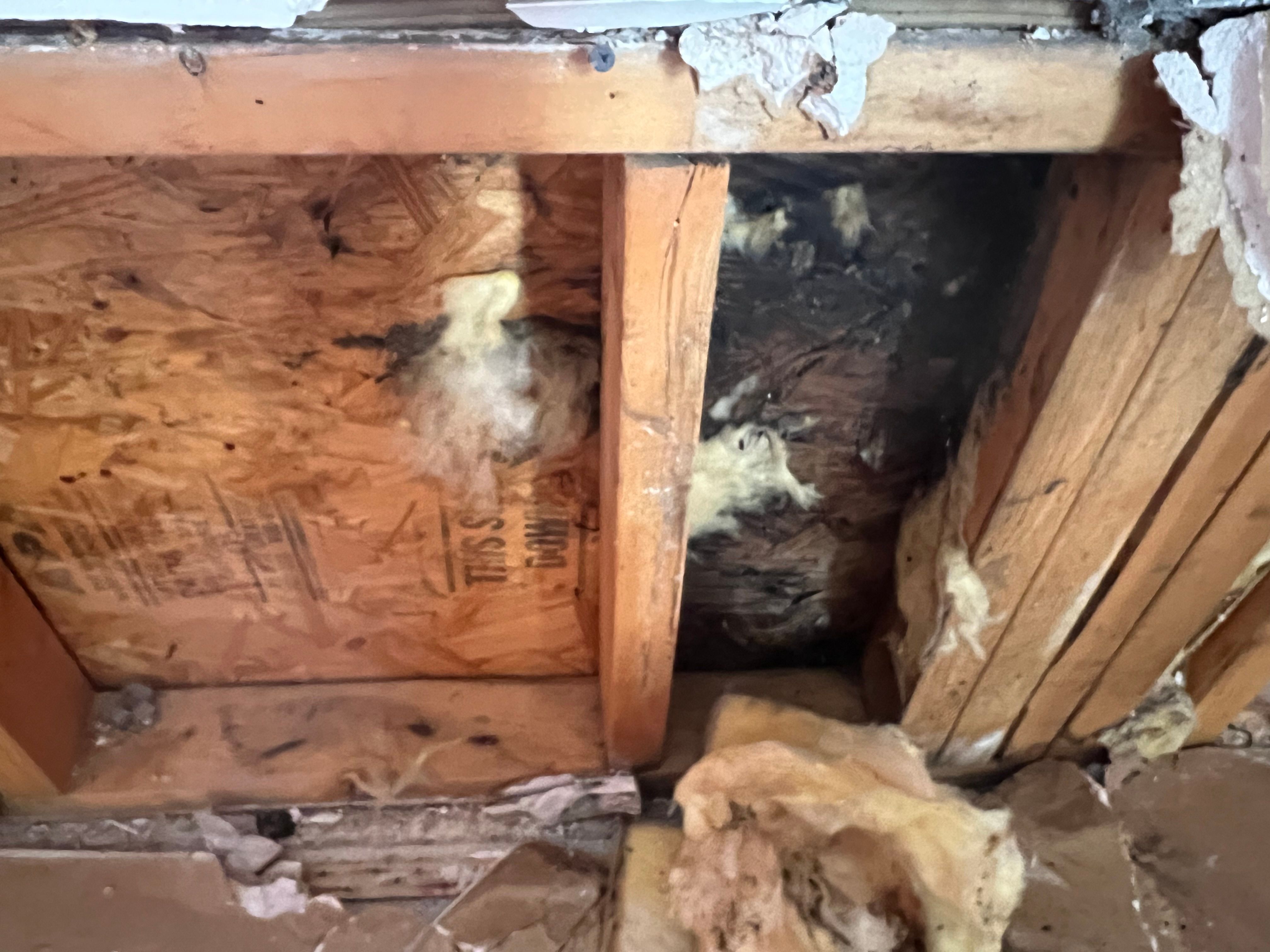  for N&D Restoration Services When Disaster Strikes, We Come In in Cape Coral,  FL