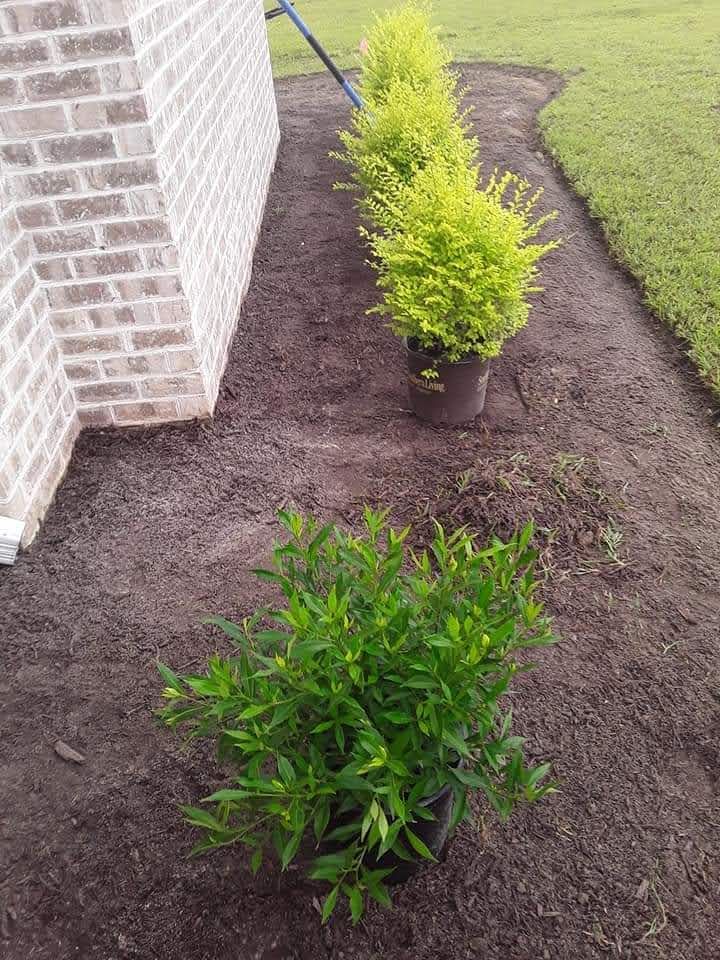  for Handy Al's Landscaping LLC in Greenville, NC