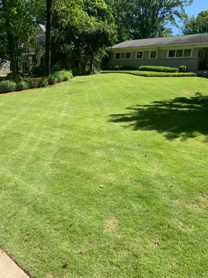 All Photos for Bega Landscape Services in Atlanta, Georgia