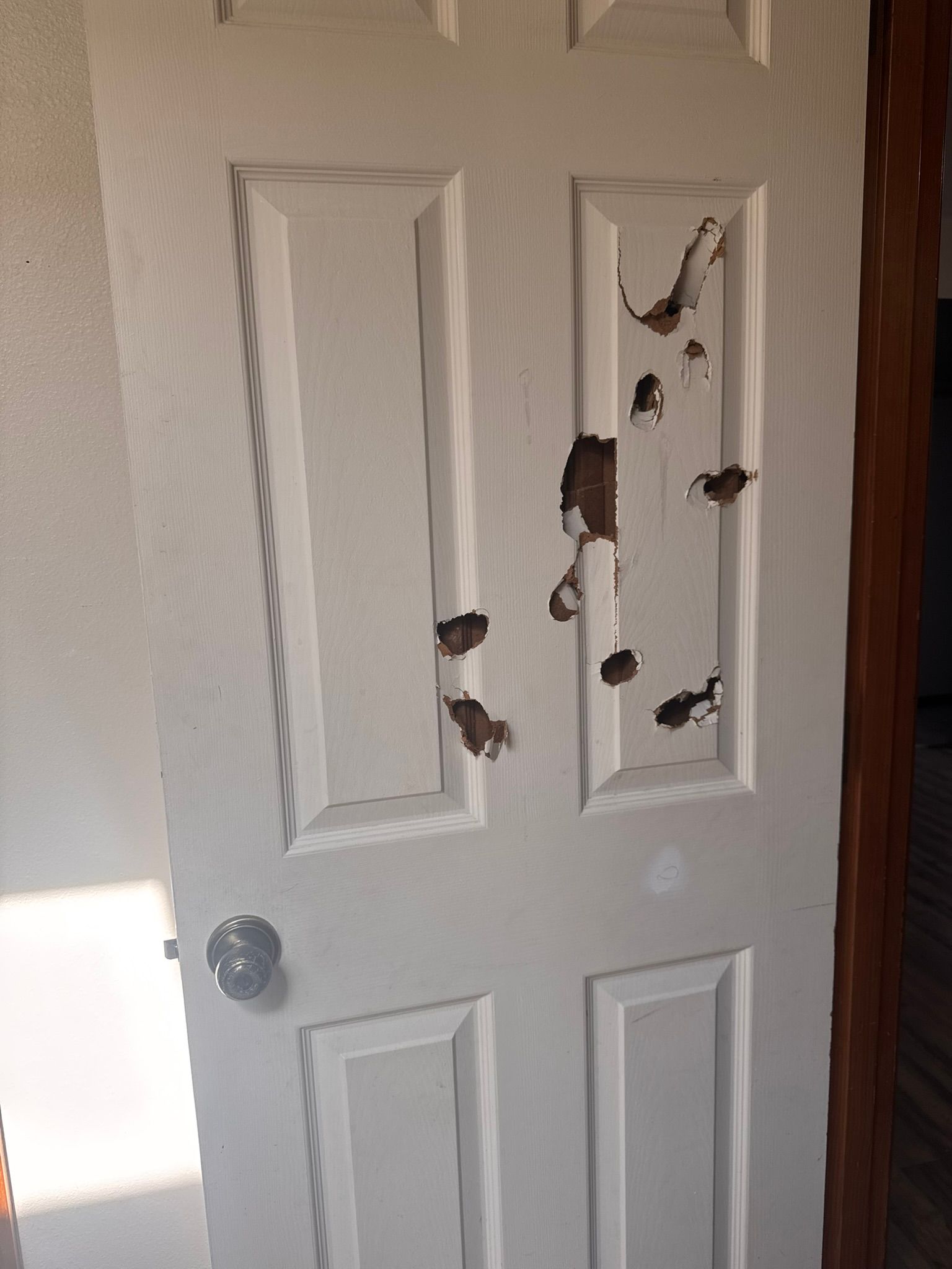  for Tony's Remodeling & Painting in Renton, WA