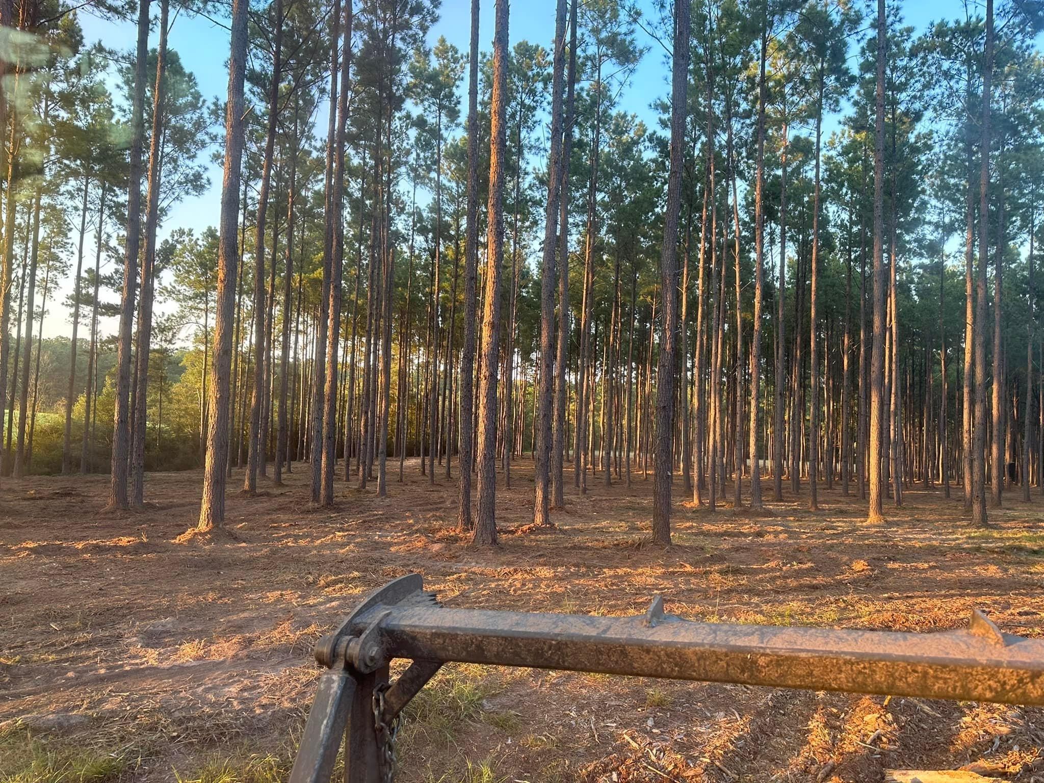 All Photos for White’s Land Maintenance in Milton,, FL