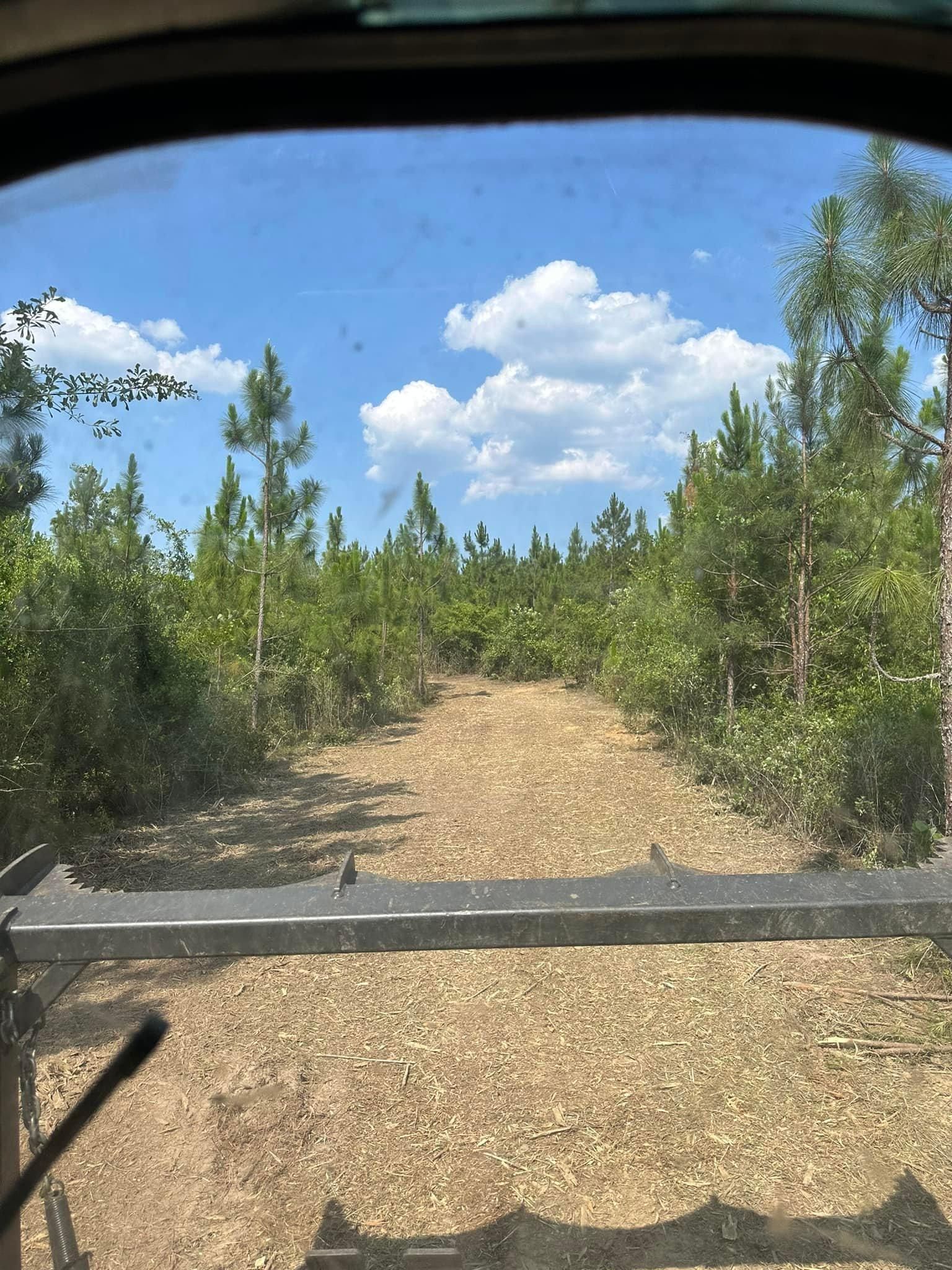 All Photos for White’s Land Maintenance in Milton,, FL