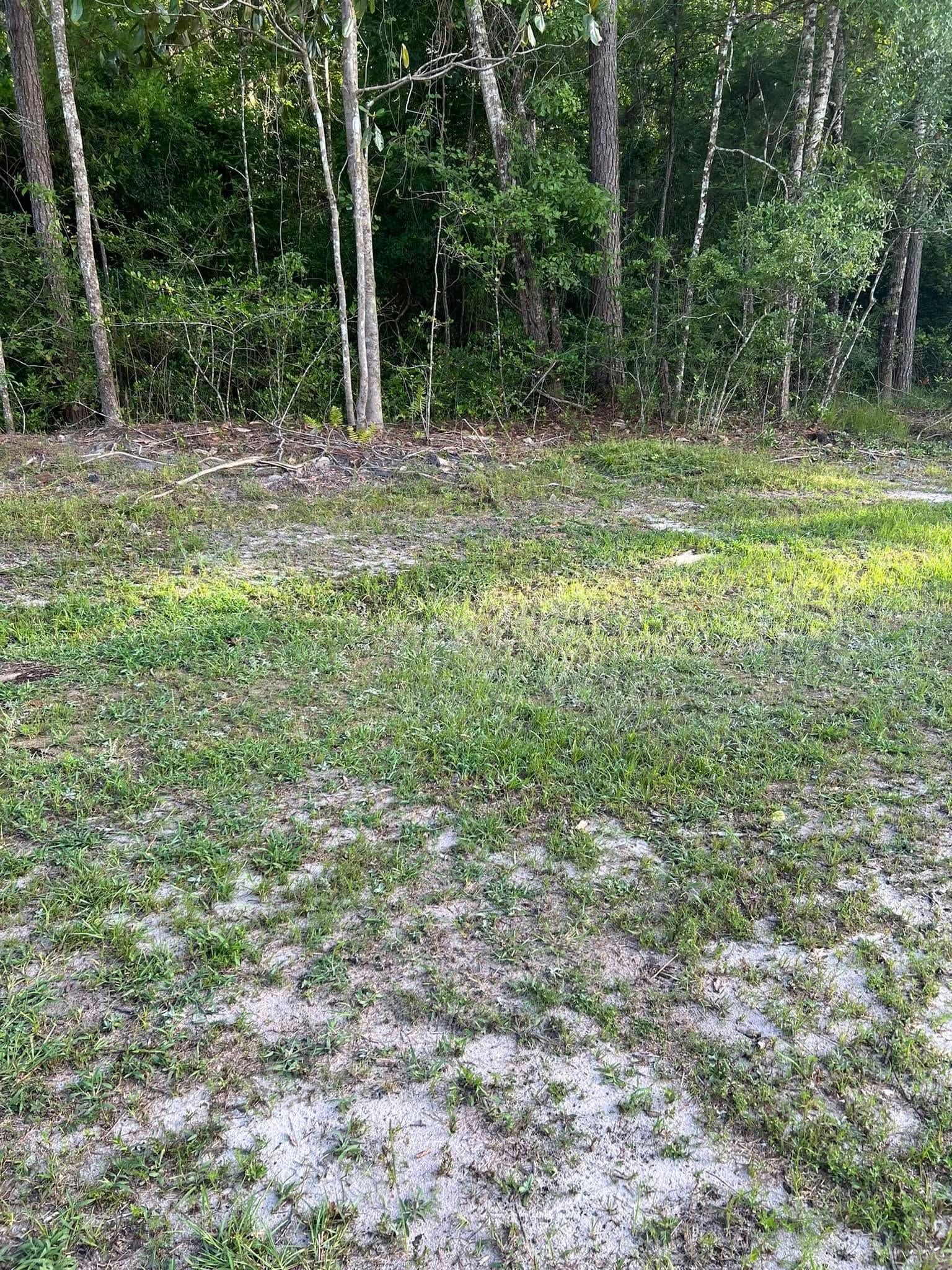  for Joseys Lawn and Tree Care in Chipley, FL