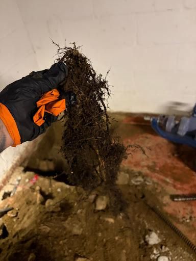  for The Drain Force in Cleveland, OH