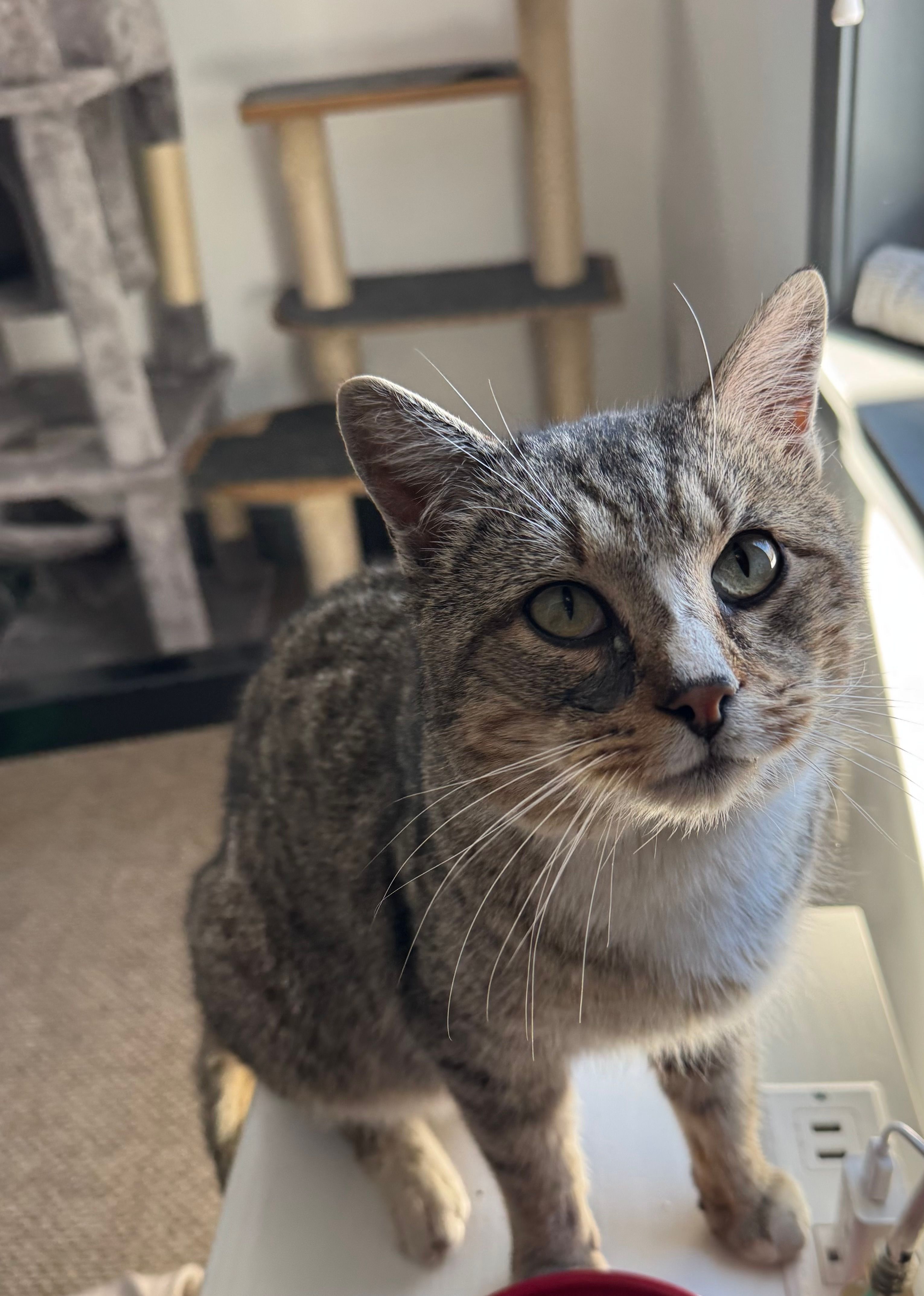  for Sullivan Sanctuary of Maine in Brunswick, ME