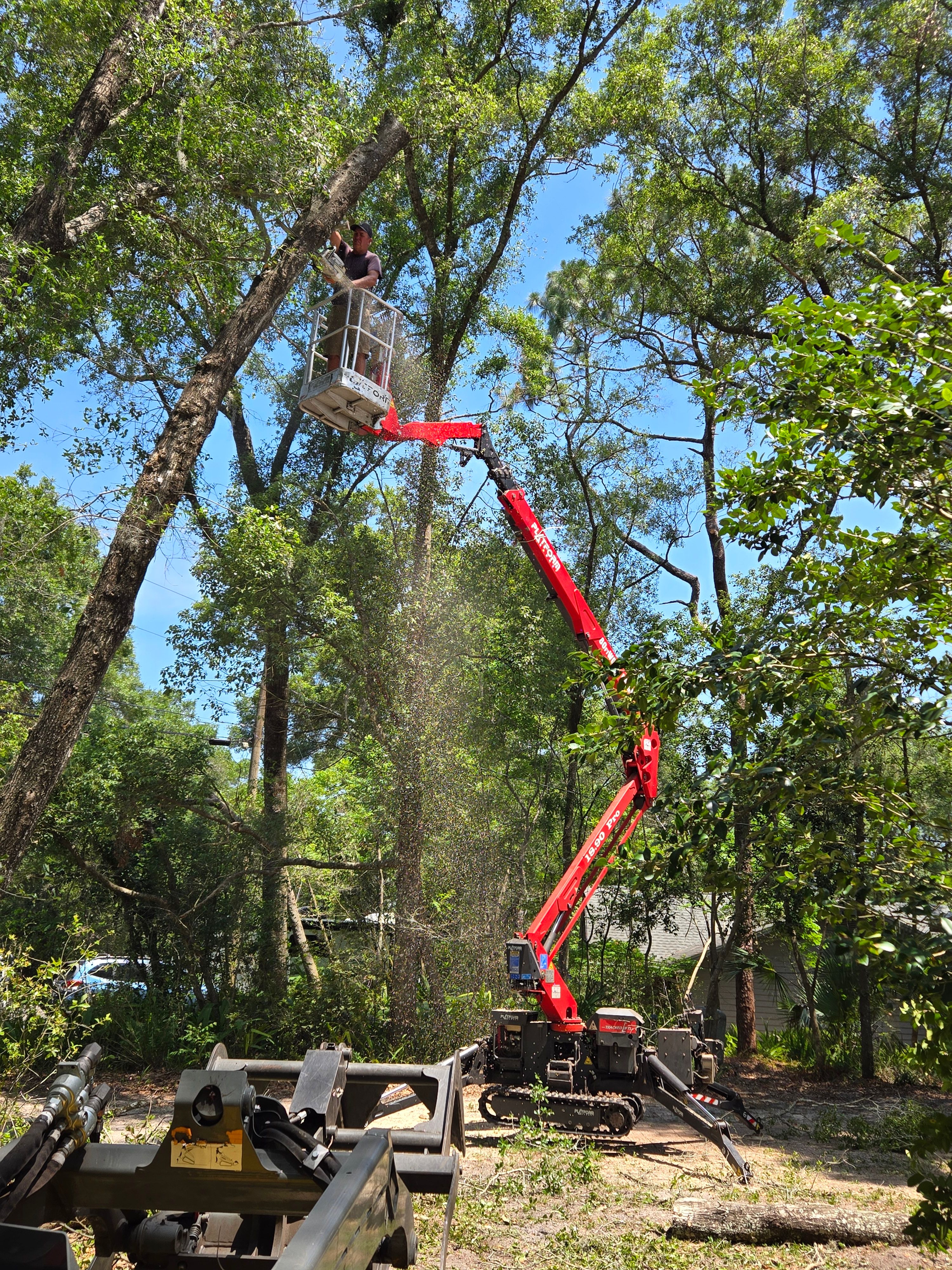 All Photos for Near Me Tree Service, Inc. in DeLand, FL