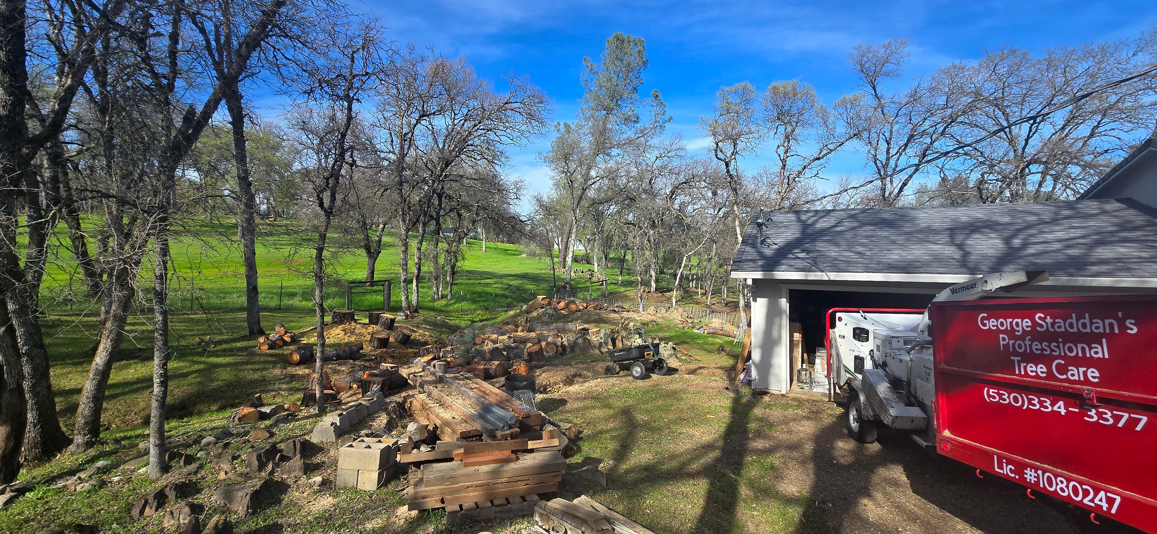  for George Staddan's Professional Tree Care in Placerville, CA