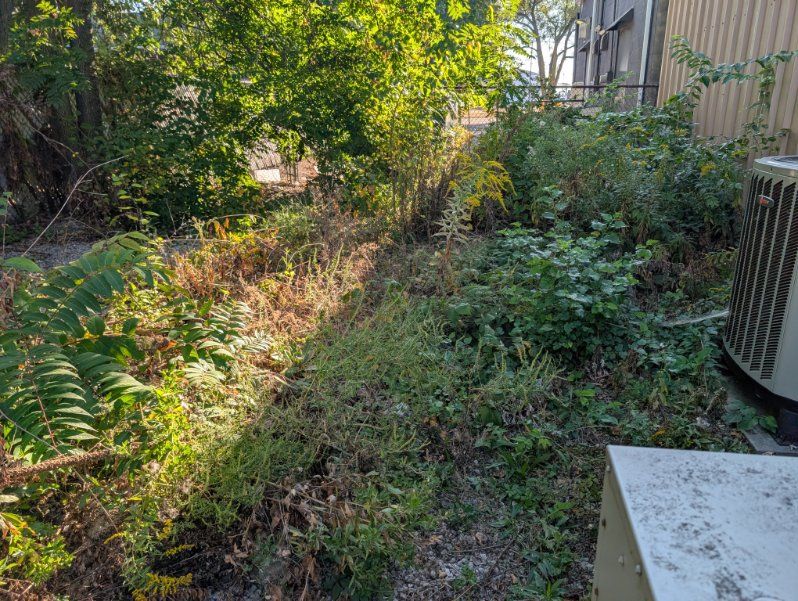  for Knapps Landscaping and Lawn Care in Marion, OH