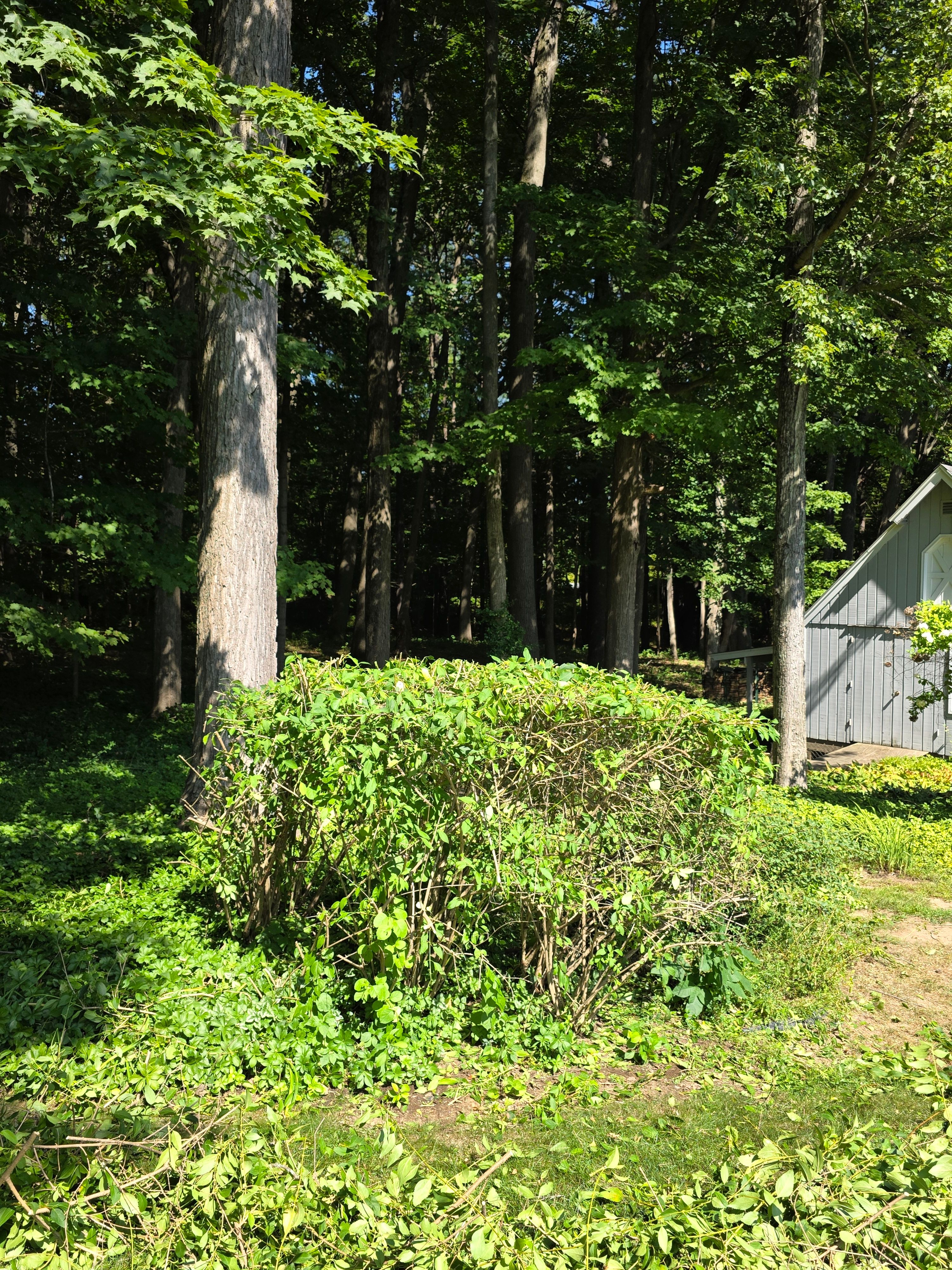  for Sweet Scapes in Ballston Spa, NY