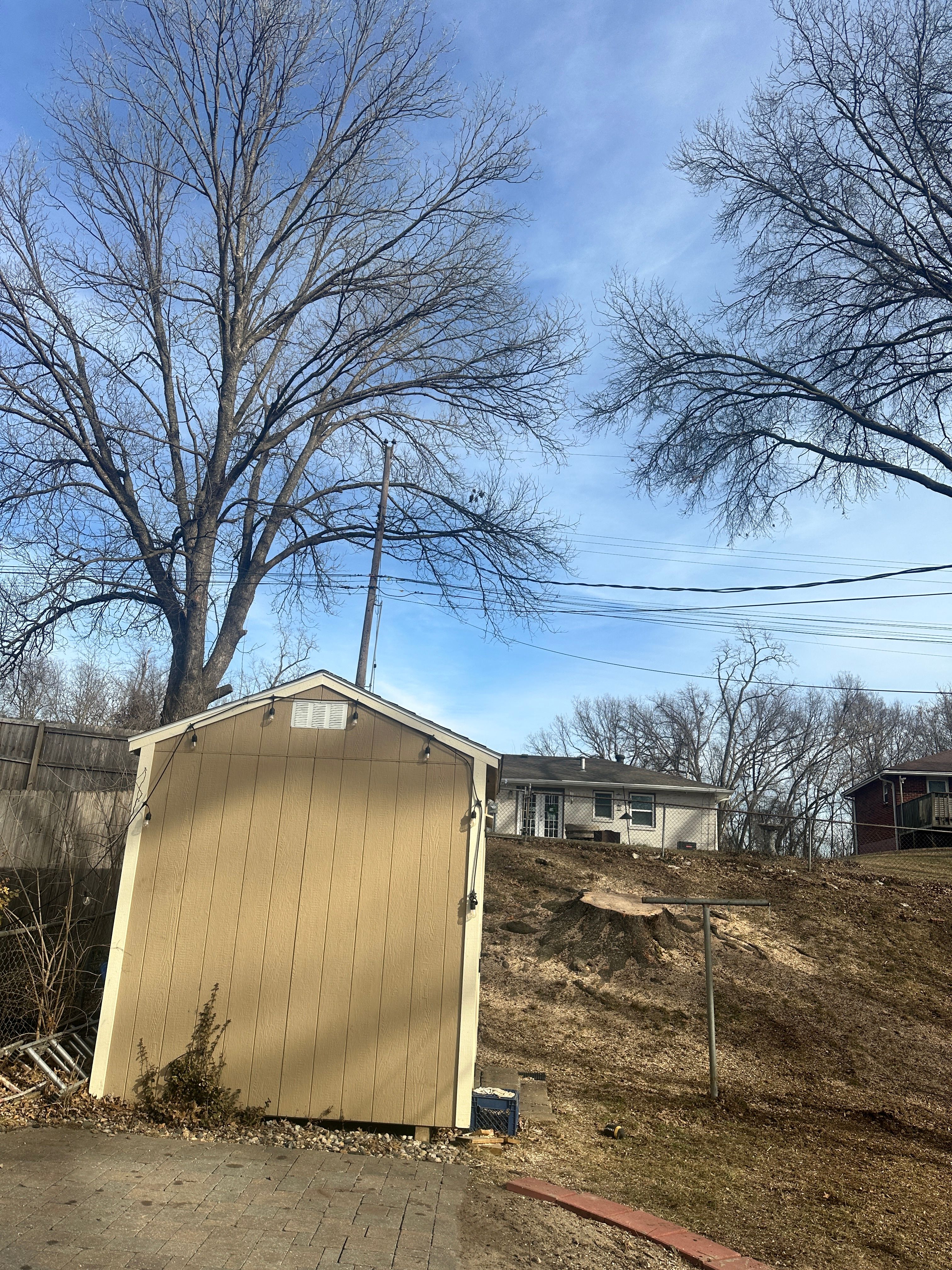 All Photos for Cross Family Tree Service in Kearney, MO