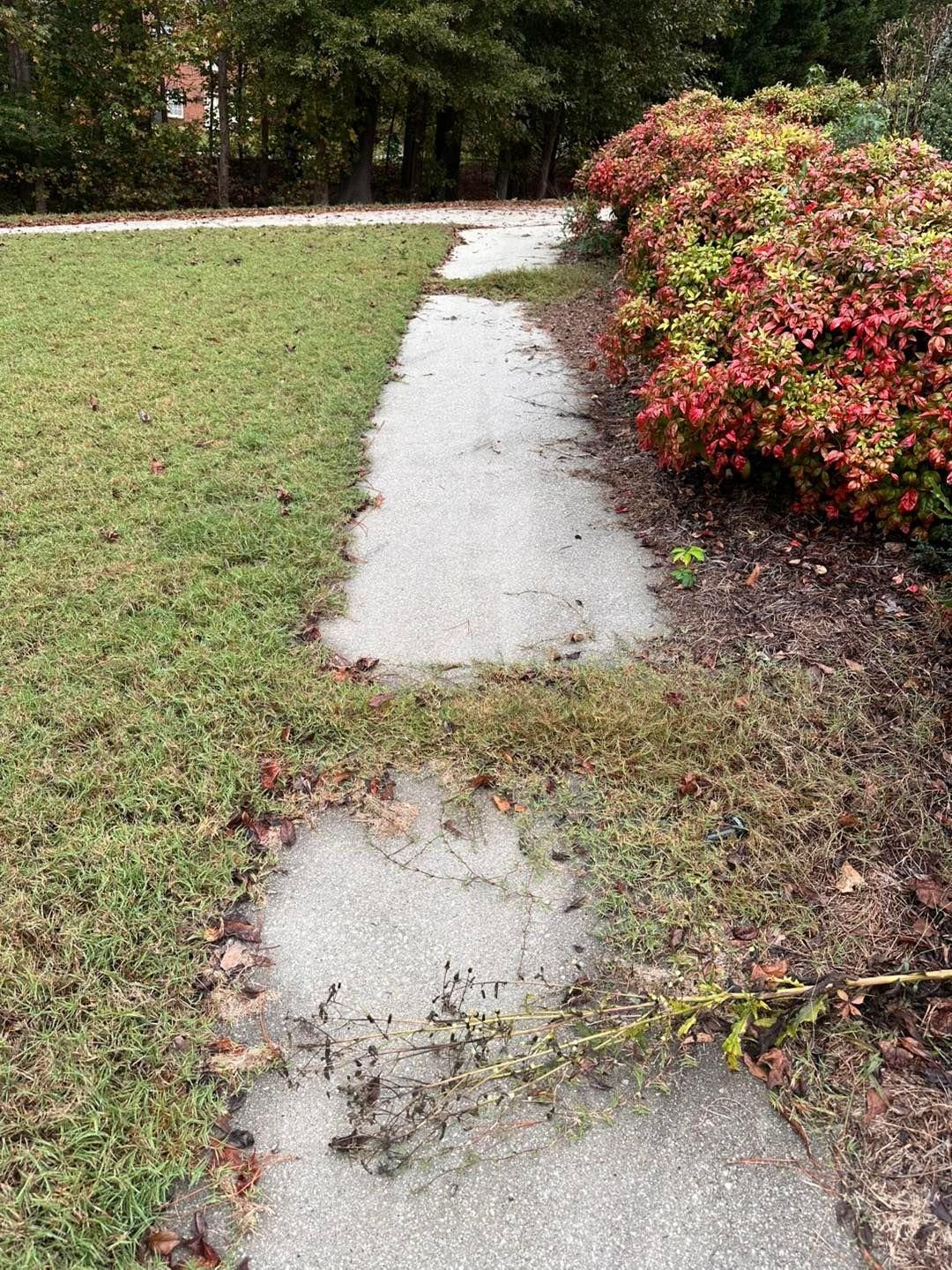  for Worsham Landscaping and Pressure Washing LLC in Social Circle, GA