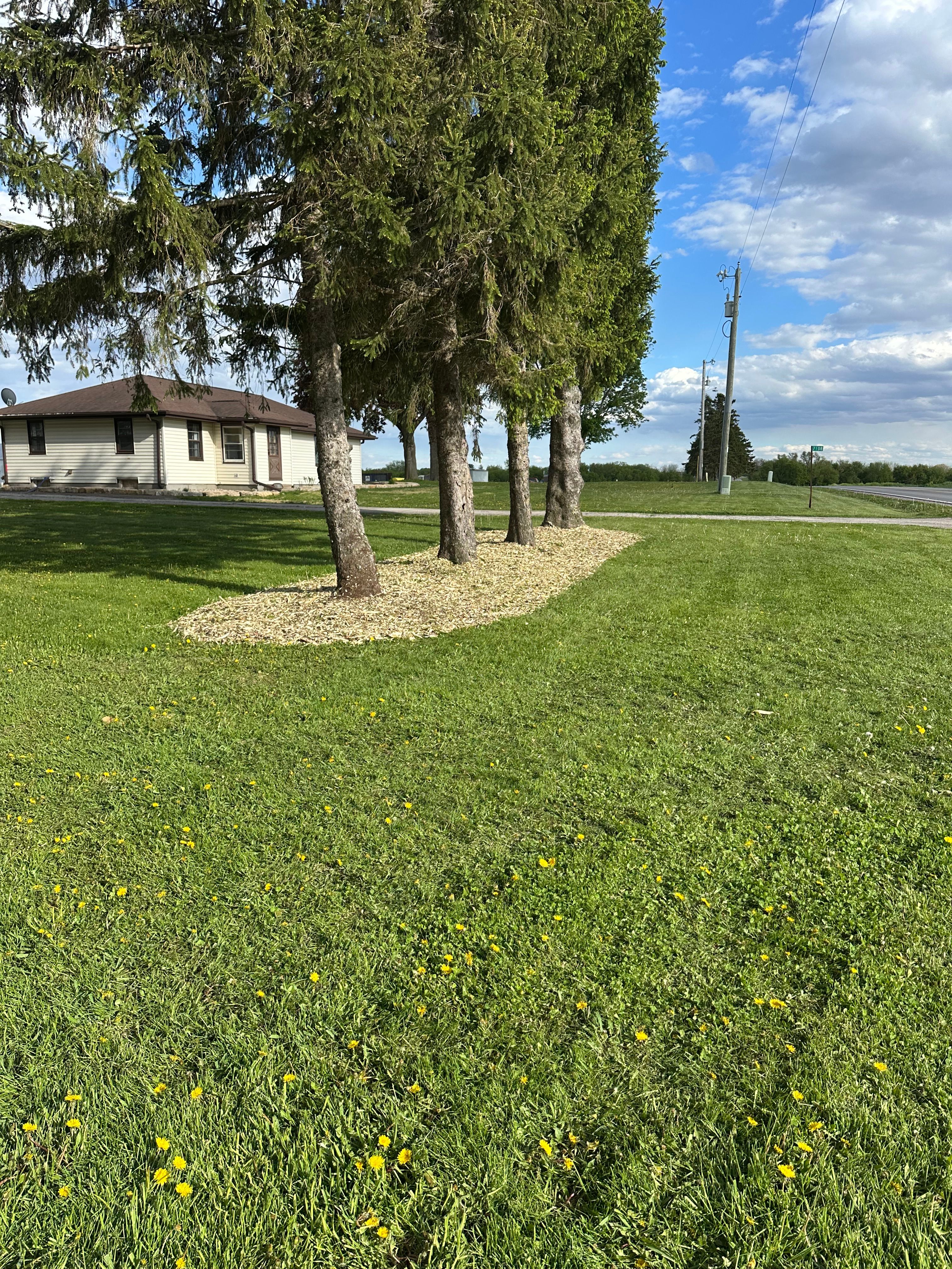  for 608 Earthworks in Marshall, WI