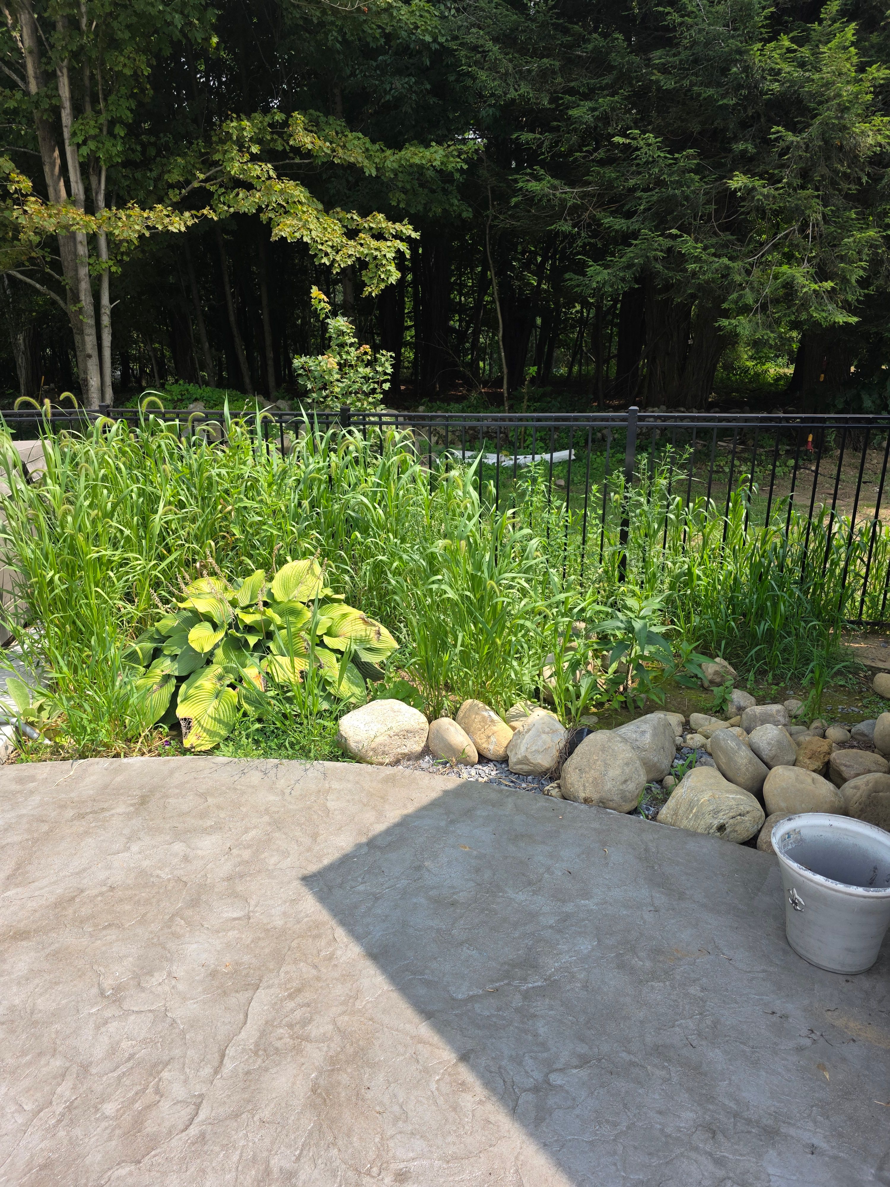  for Sweet Scapes in Ballston Spa, NY