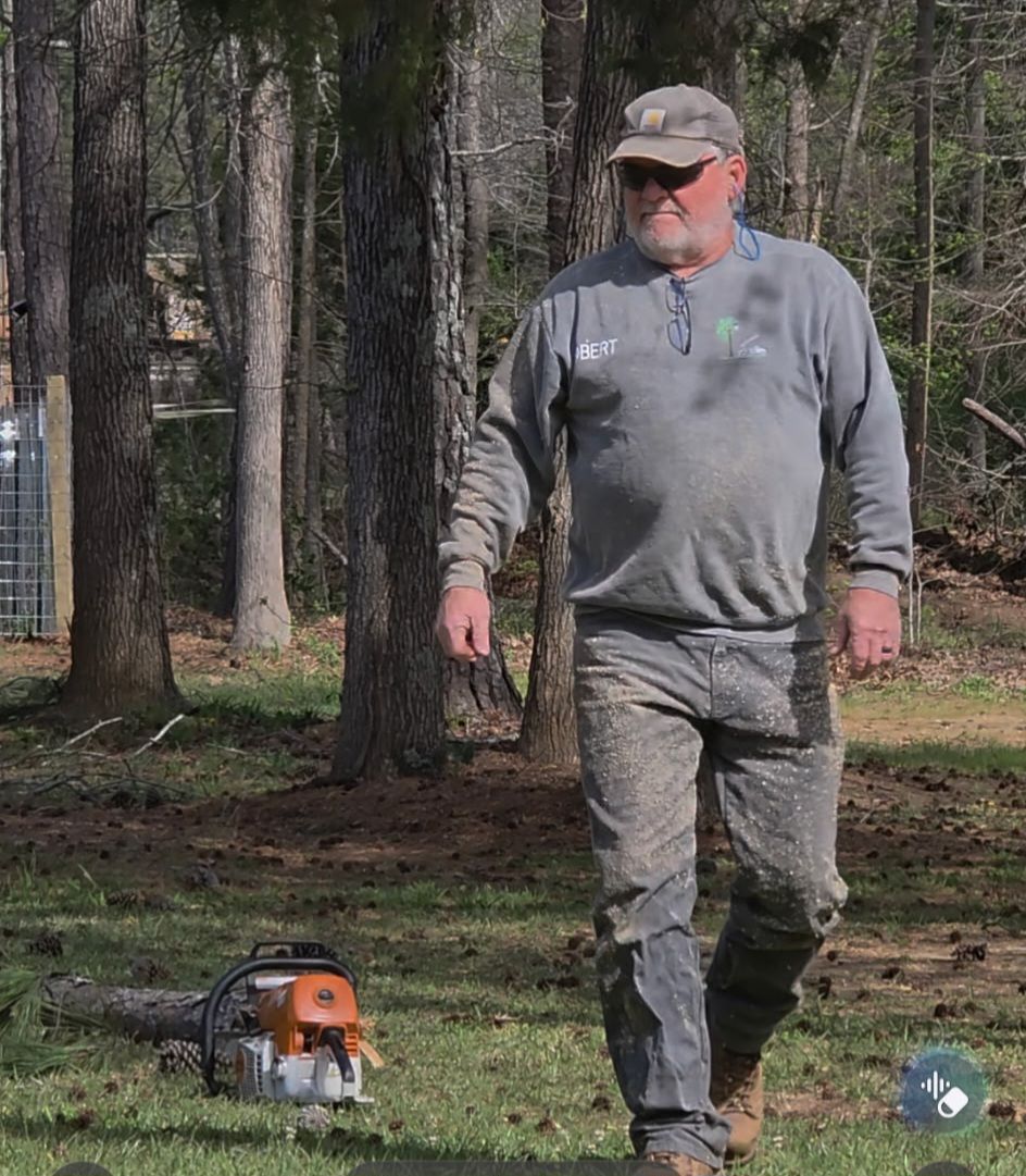 All Photos for R&P Tree Service LLC in Greenwood, SC