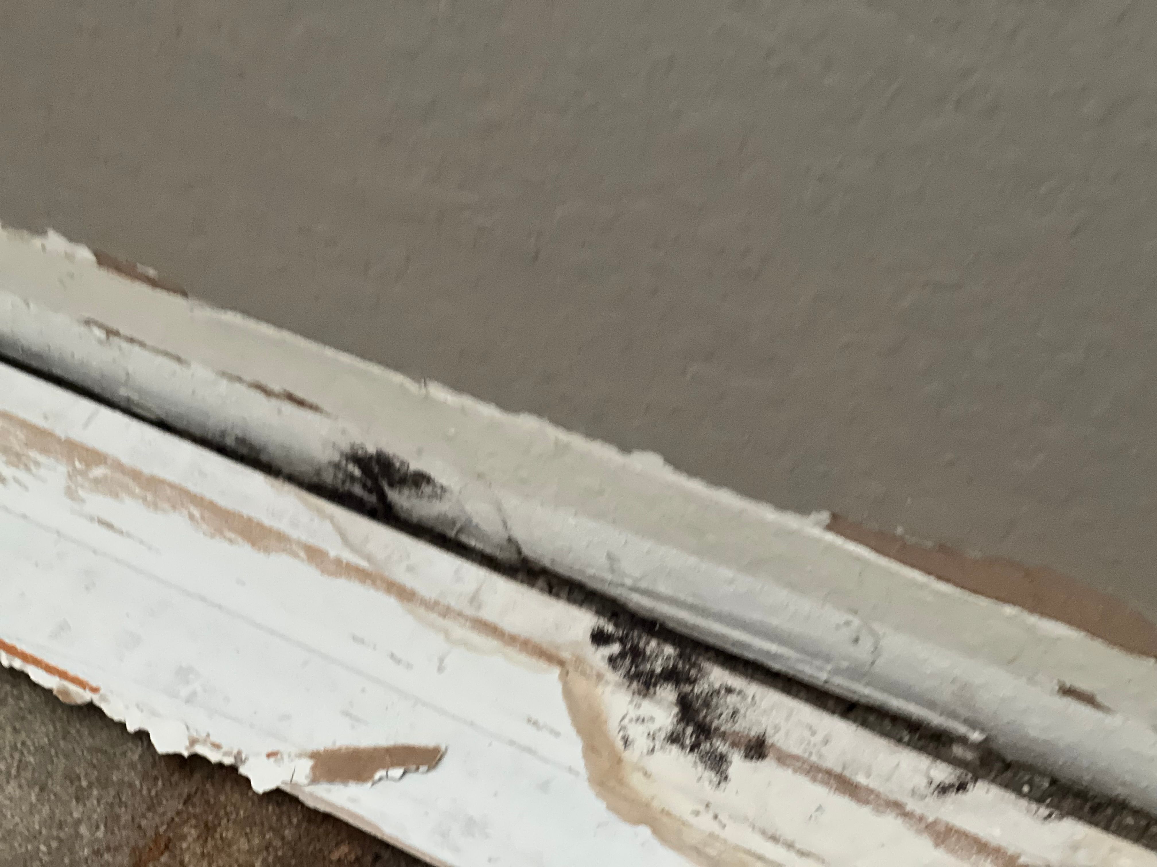  for N&D Restoration Services When Disaster Strikes, We Come In in Cape Coral,  FL