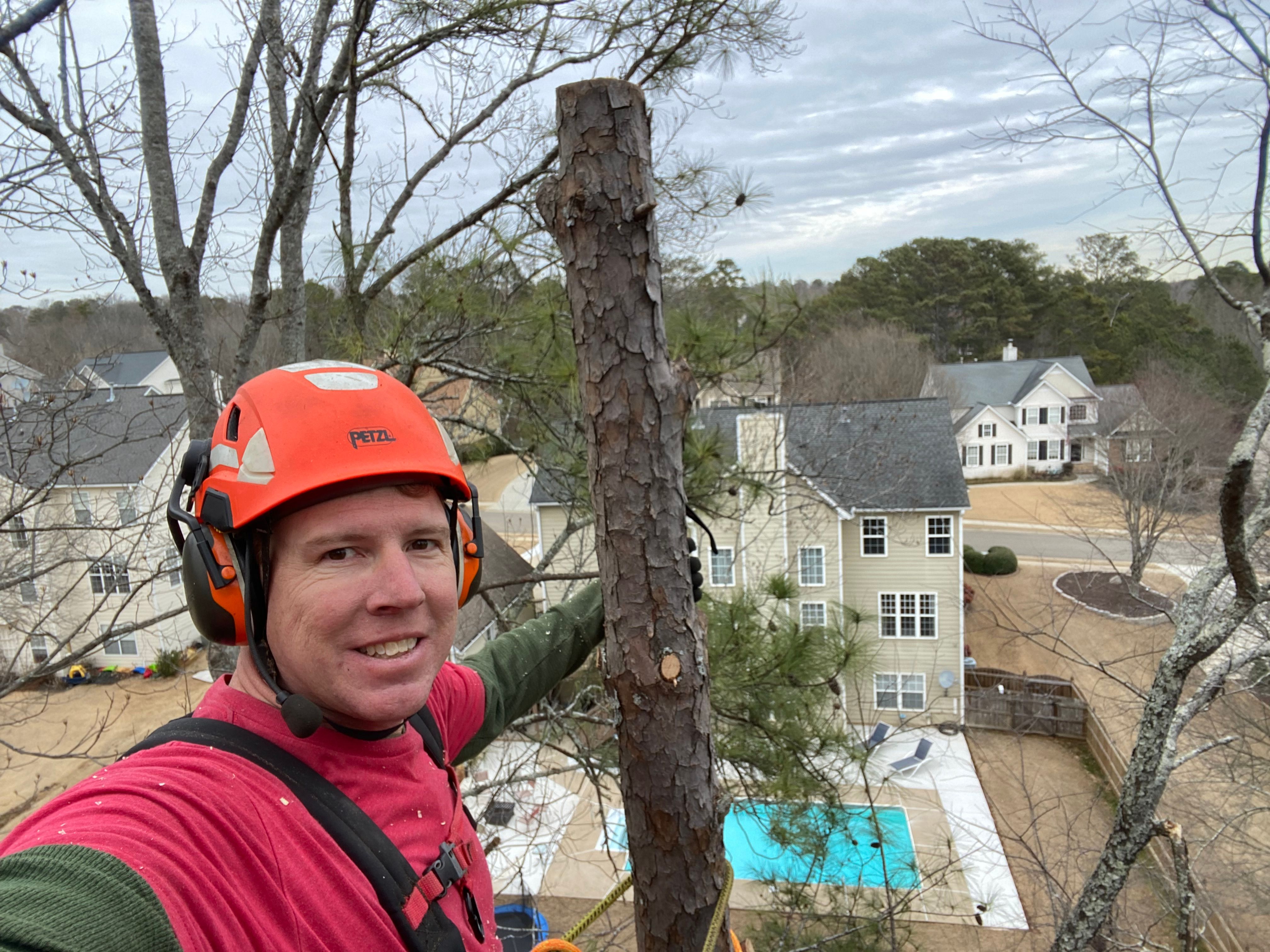 Tree Removal for Pinedown LLC in Cherokee County, GA