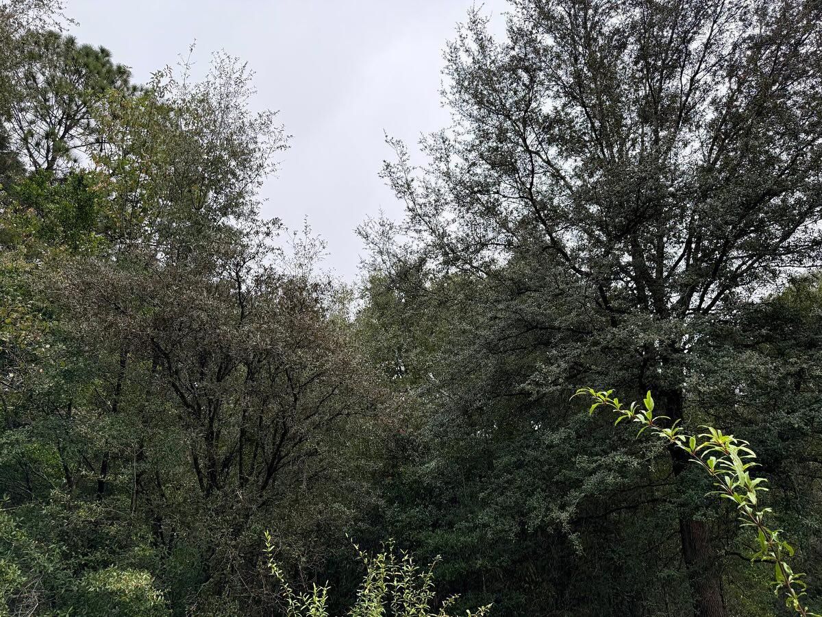  for J & E Land Clearing, LLC. in Dunnellon, FL