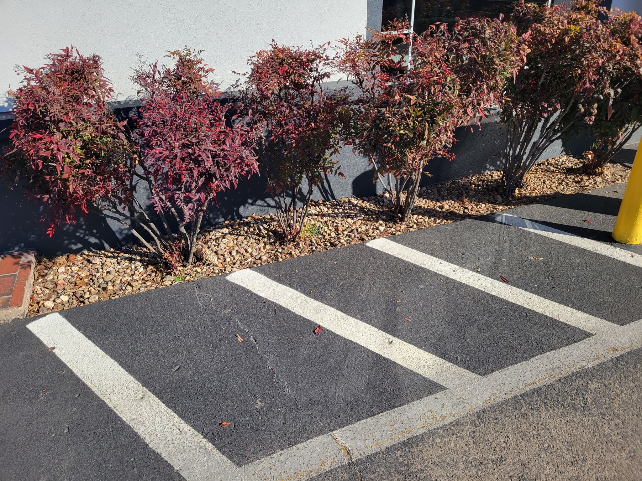  for R&M Lawn Services in Tulsa, OK