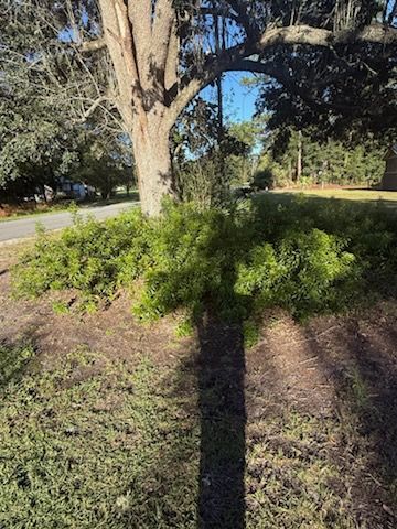 Tree Removal for Hawkins Tree Service & Land Management in Richmond Hill, GA