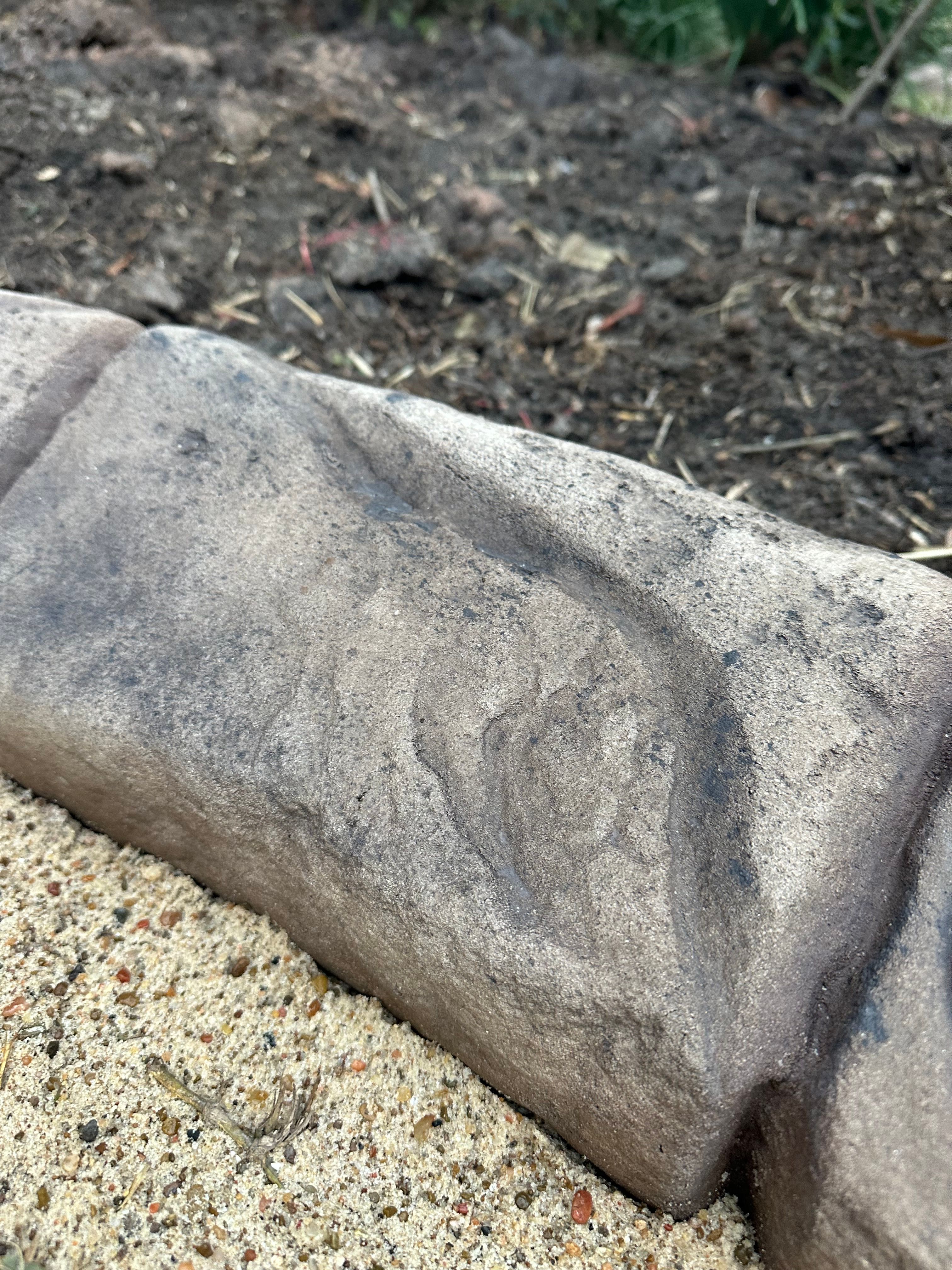  for Texas Curb N Borders in Houston, TX