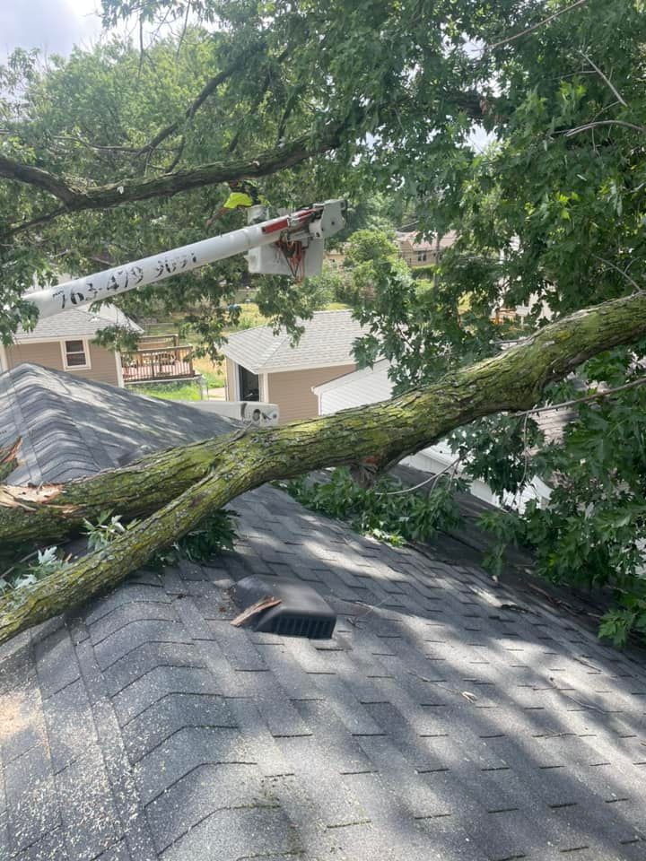 Tree Removal for Allstate Tree Service in Fridley, MN