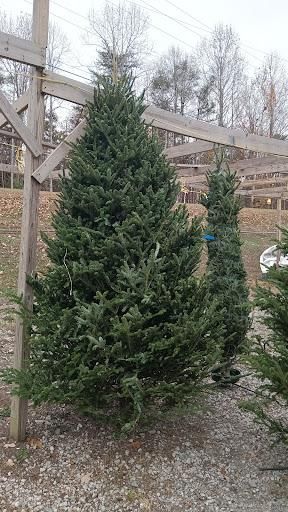 All Photos for BAM Another Pinestraw Lot in Flowery Branch, GA