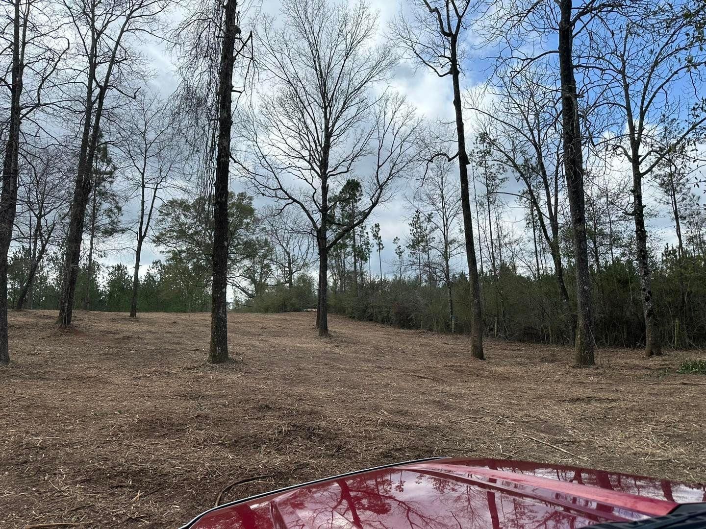 All Photos for White’s Land Maintenance in Milton,, FL