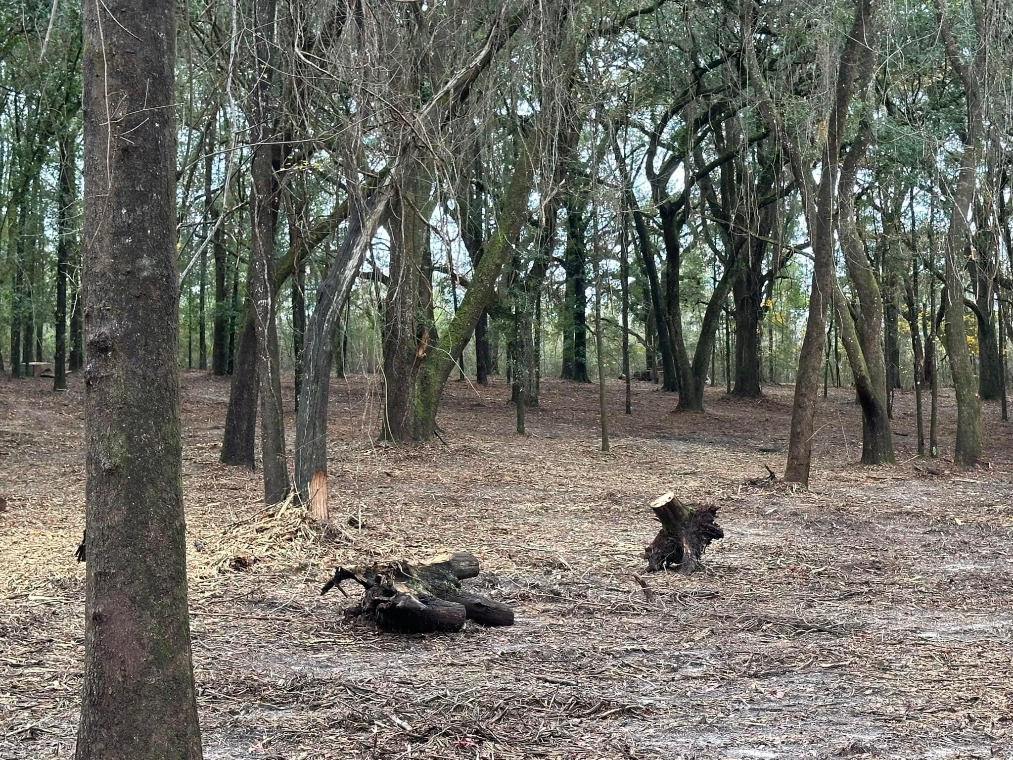 All Photos for White’s Land Maintenance in Milton,, FL