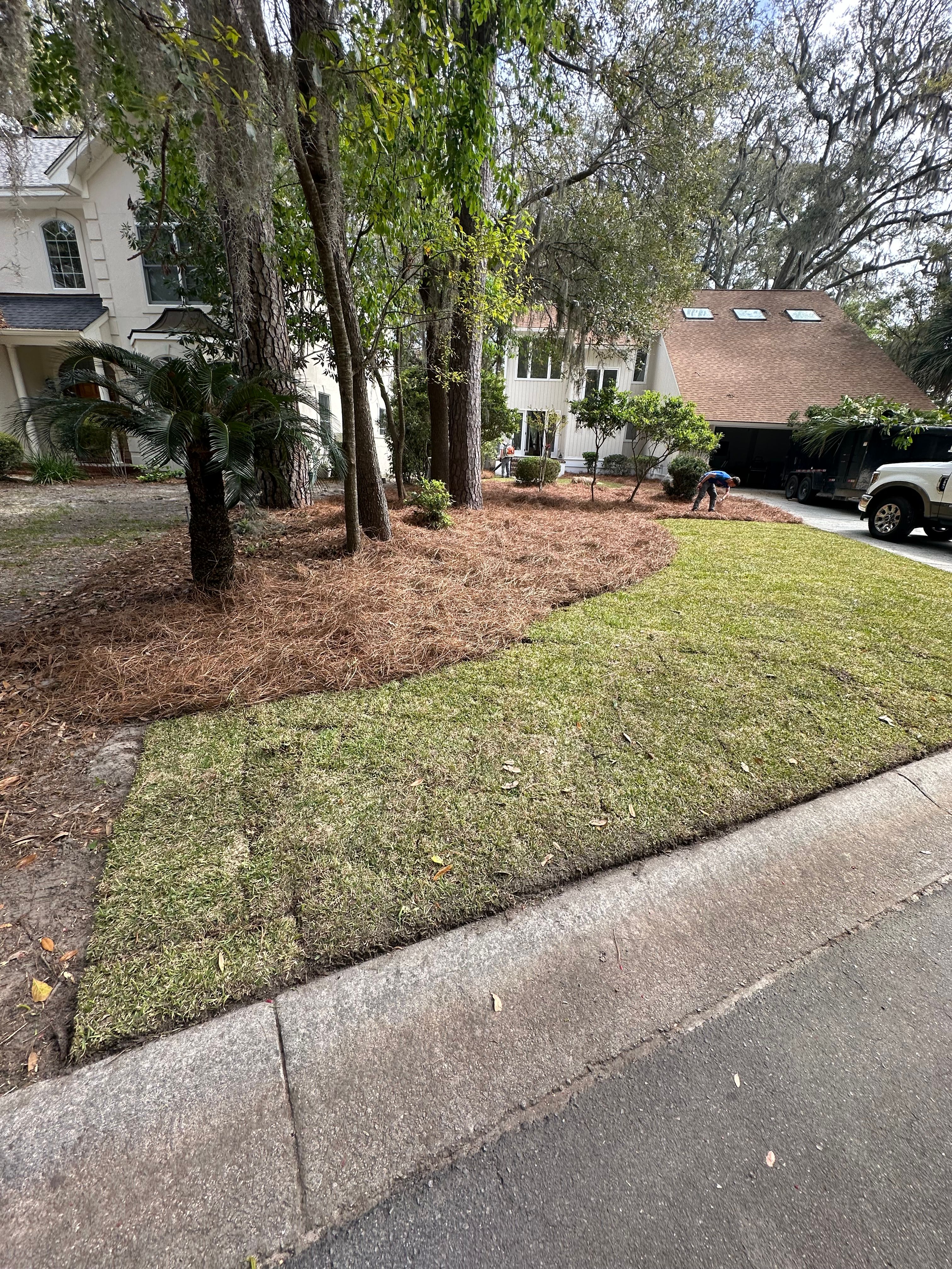  for Coastalscapes Landscaping & Turf Management  in Savannah, GA