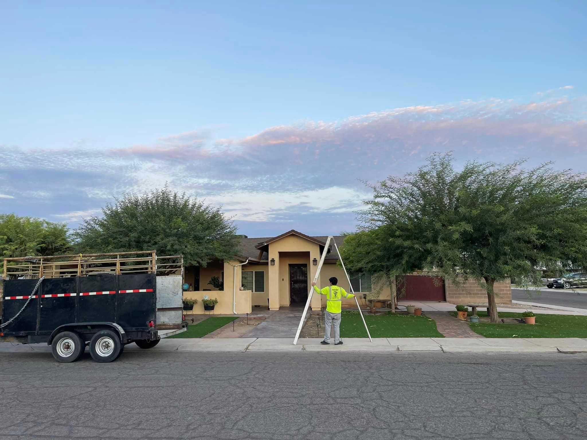 Tree Removal for Oliver L. Palm & Tree services in Yuma, AZ