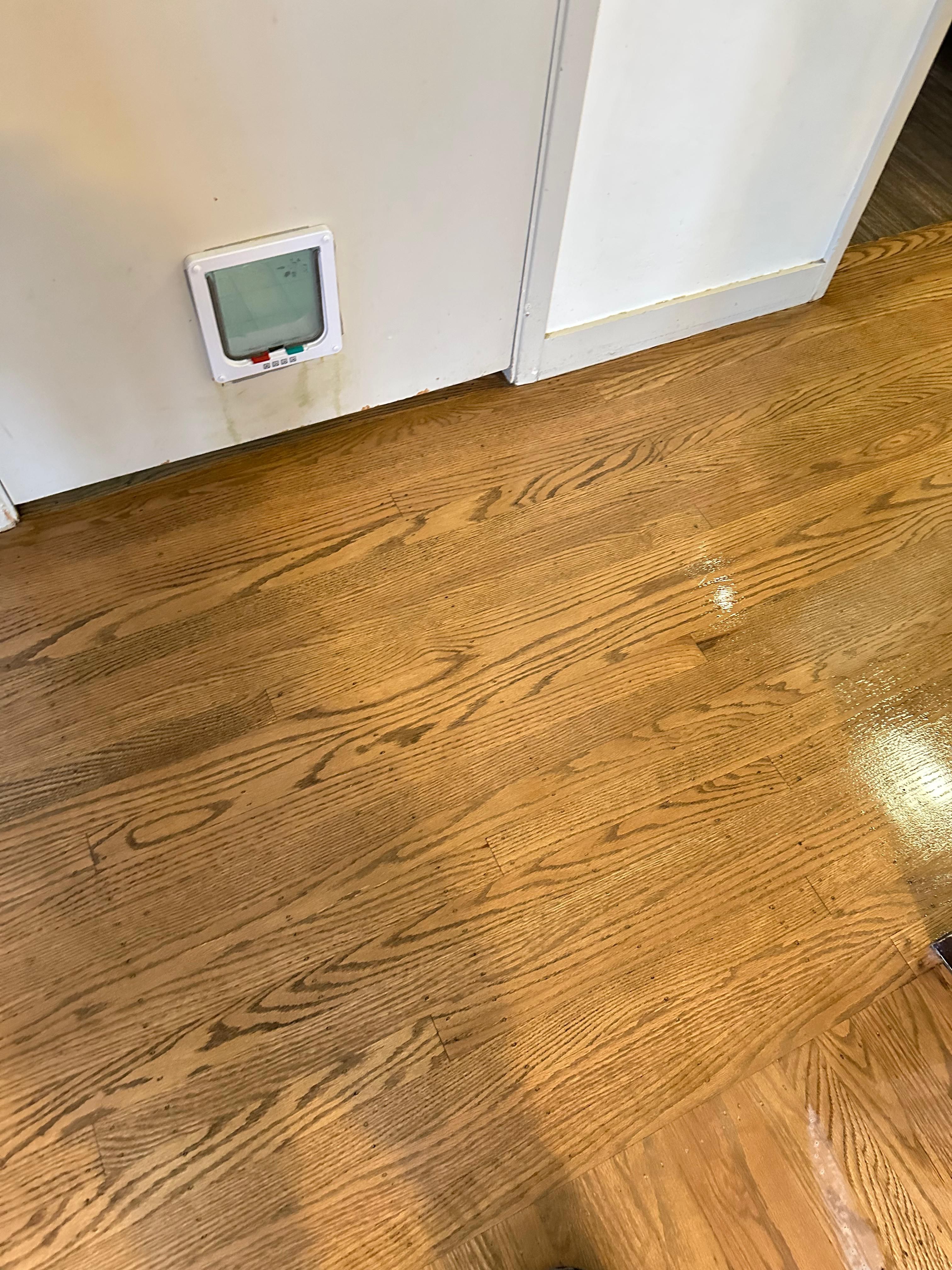  for Unique Hardwood Floors in Concord, CA