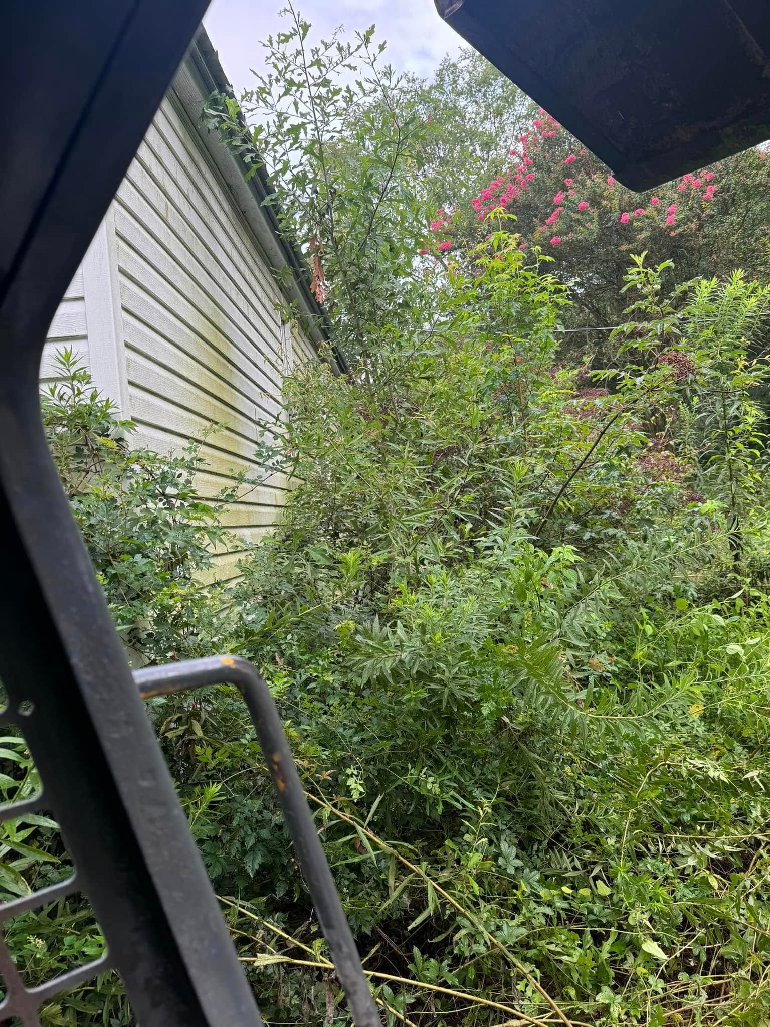  for Sanchez Odd Jobs in Carthage, TX