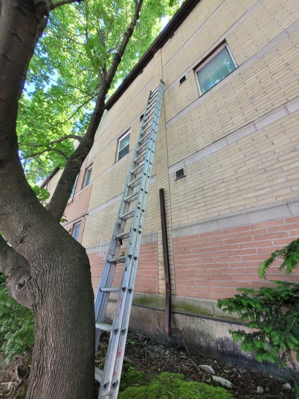  for Triumph Inc - Repair & Maintenance in Scarborough, ON