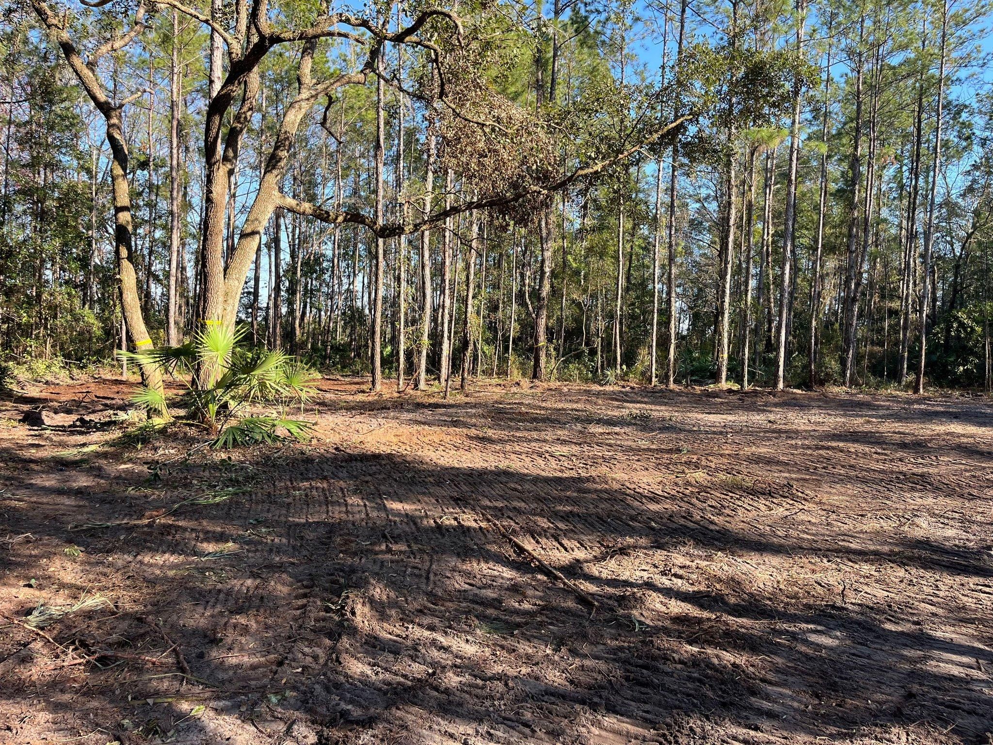  for Diamond B Earthworks in Camden County, GA