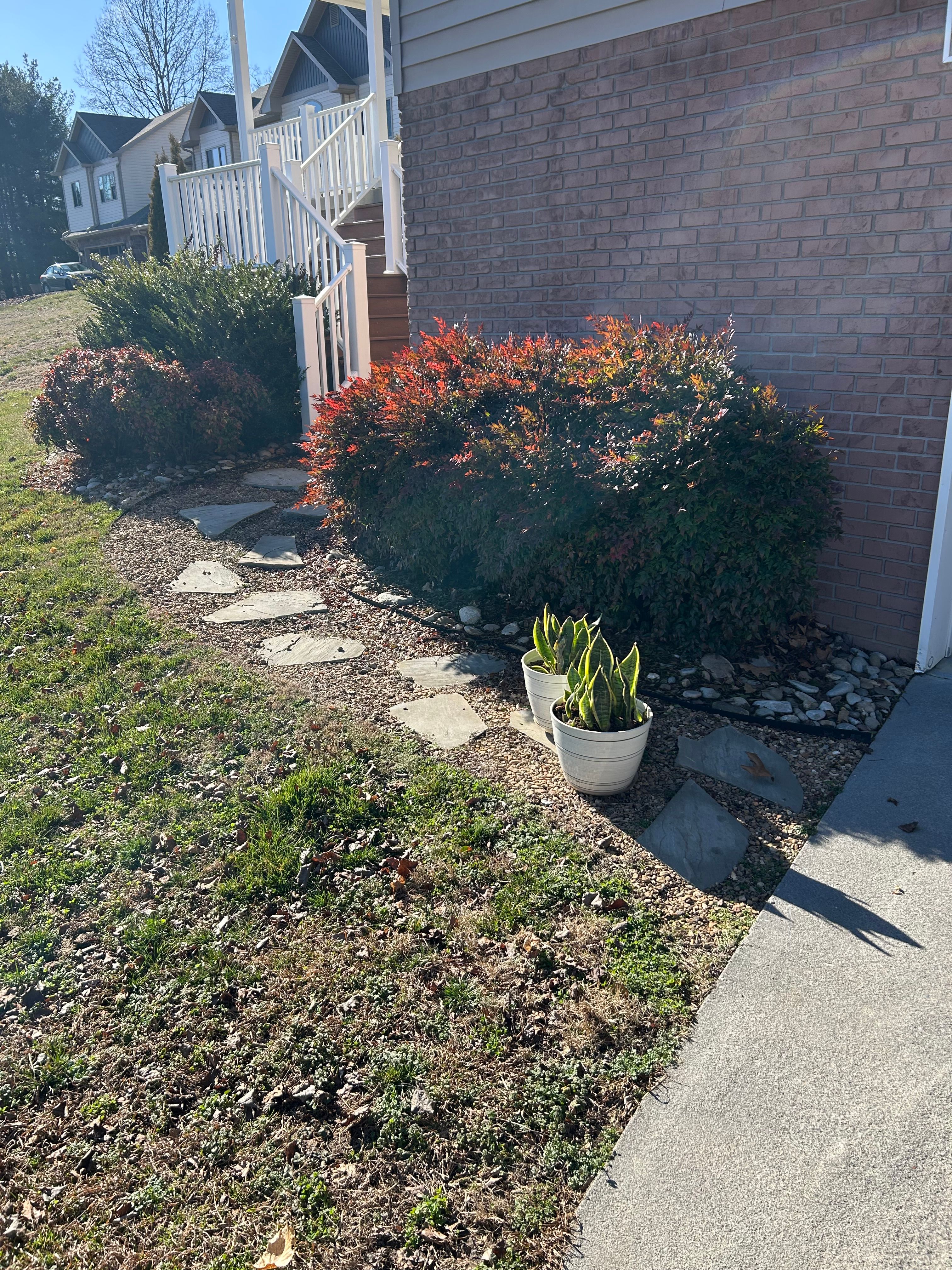 All Photos for Gatrell Landscape & Tree Removal in Bluff City, TN