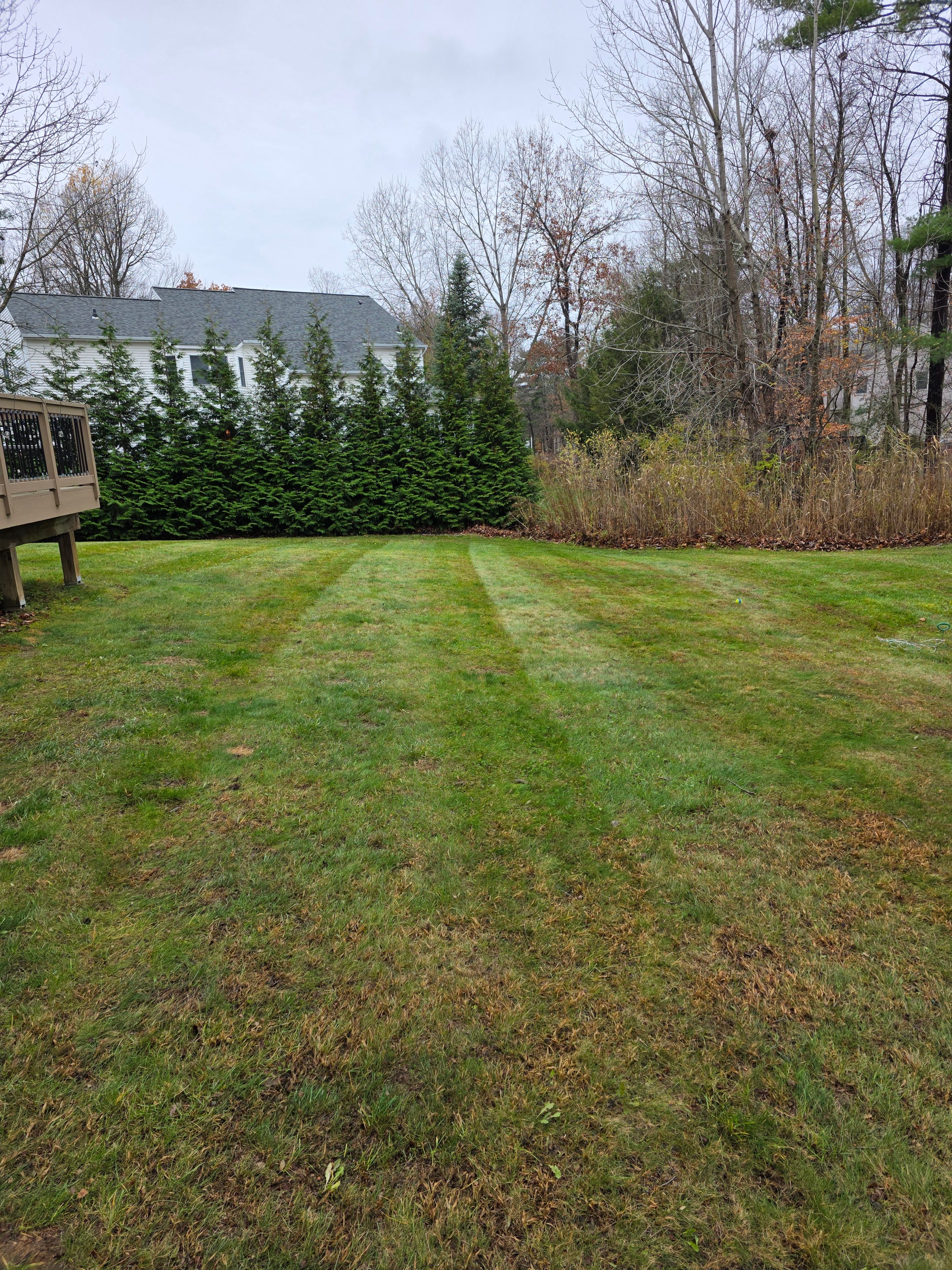  for Sweet Scapes in Ballston Spa, NY