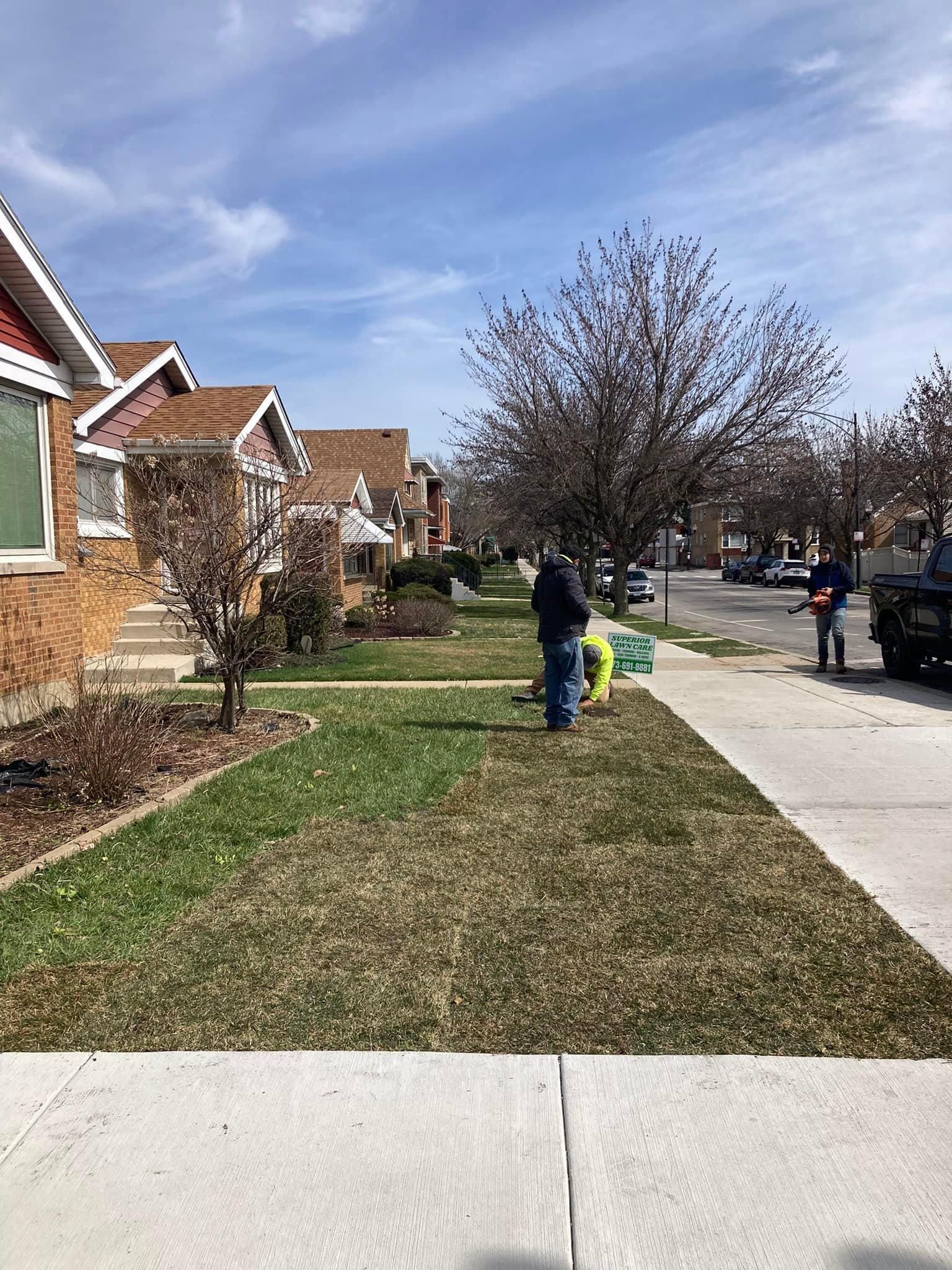  for Superior Lawn Care & Snow Removal LLC  in Chicago, IL
