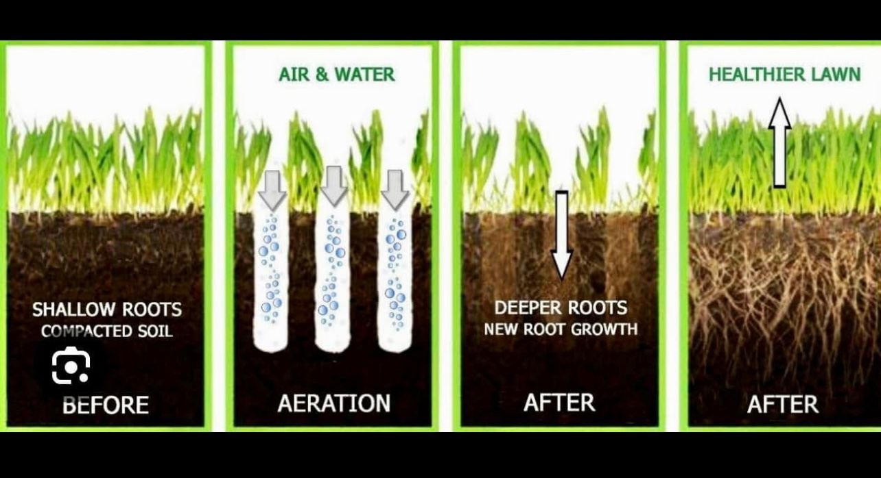  for Arundel Lawn Maintenance in Arnold, MD