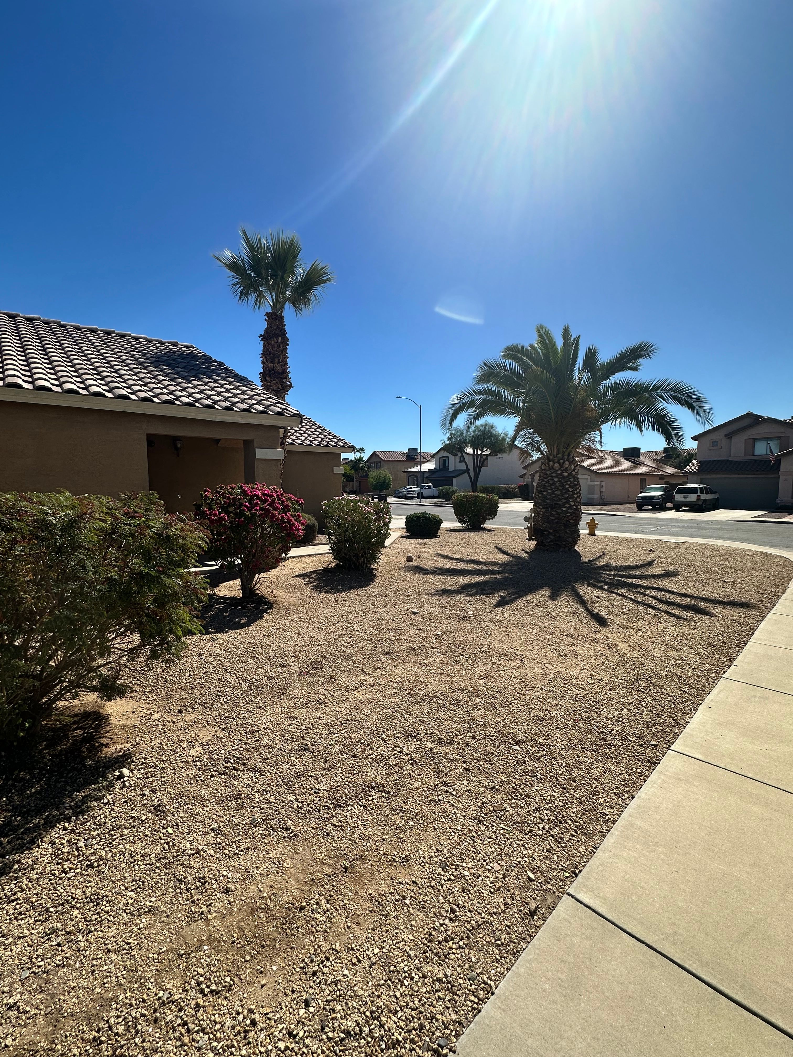  for American Dream Landscape Company in Surprise, AZ