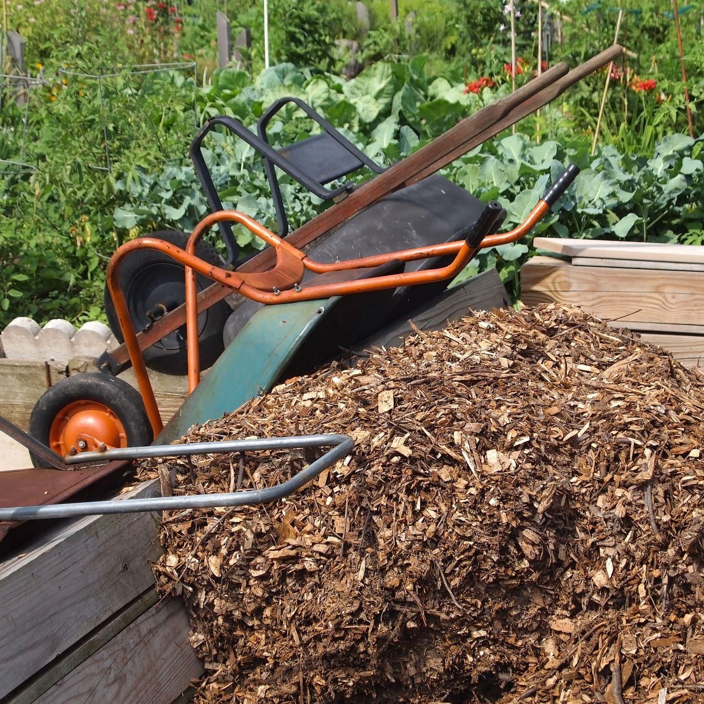  for Terra Heights Tree Experts & Landscaping  in Grass Valley,  CA