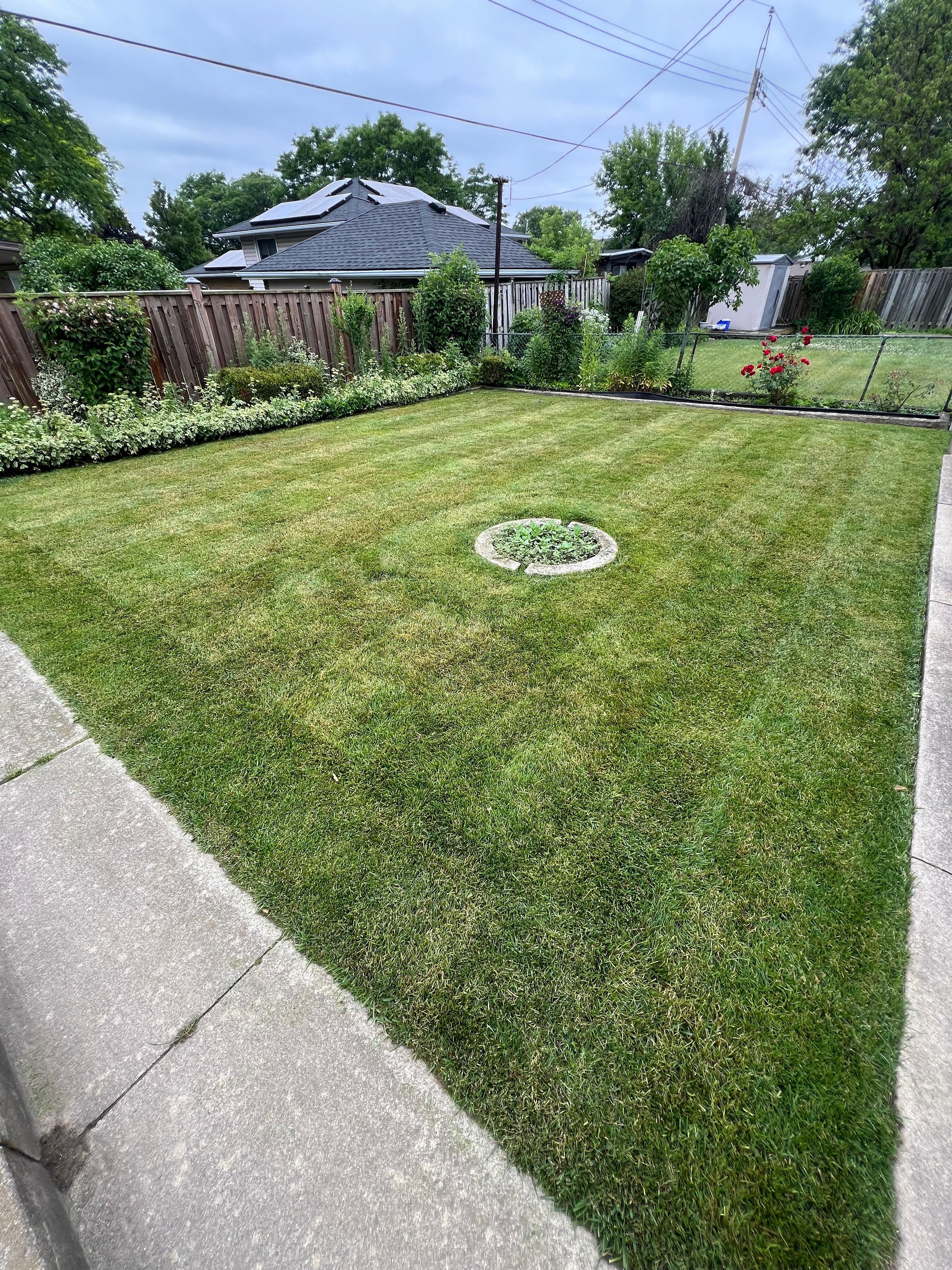  for CMN Exterior Maintenance in Hamilton, ON