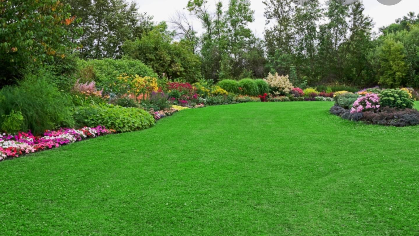  for Perfect Cut Lawn & Tree Care in Citrus Springs, FL